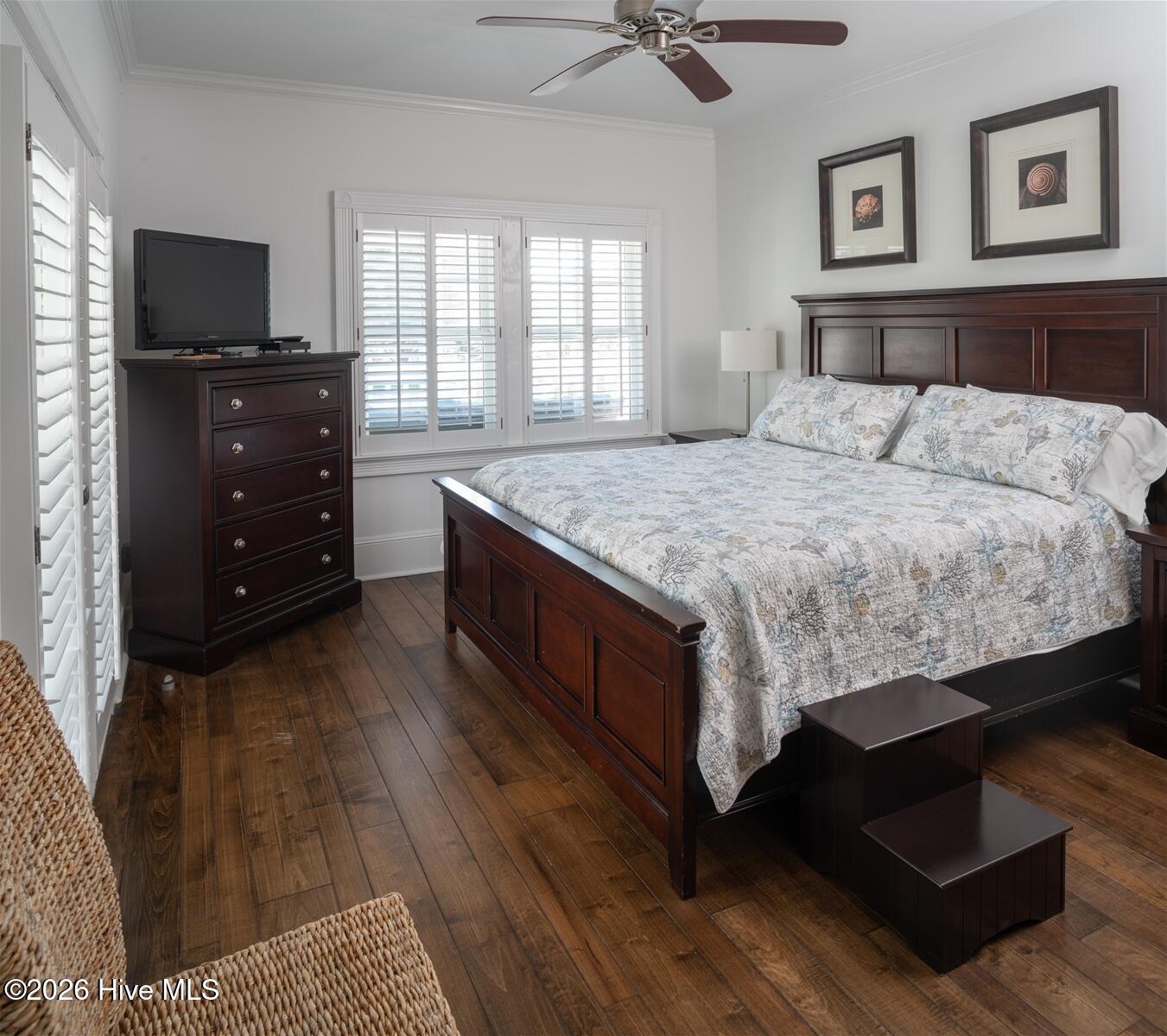 100559569 | Photo 24