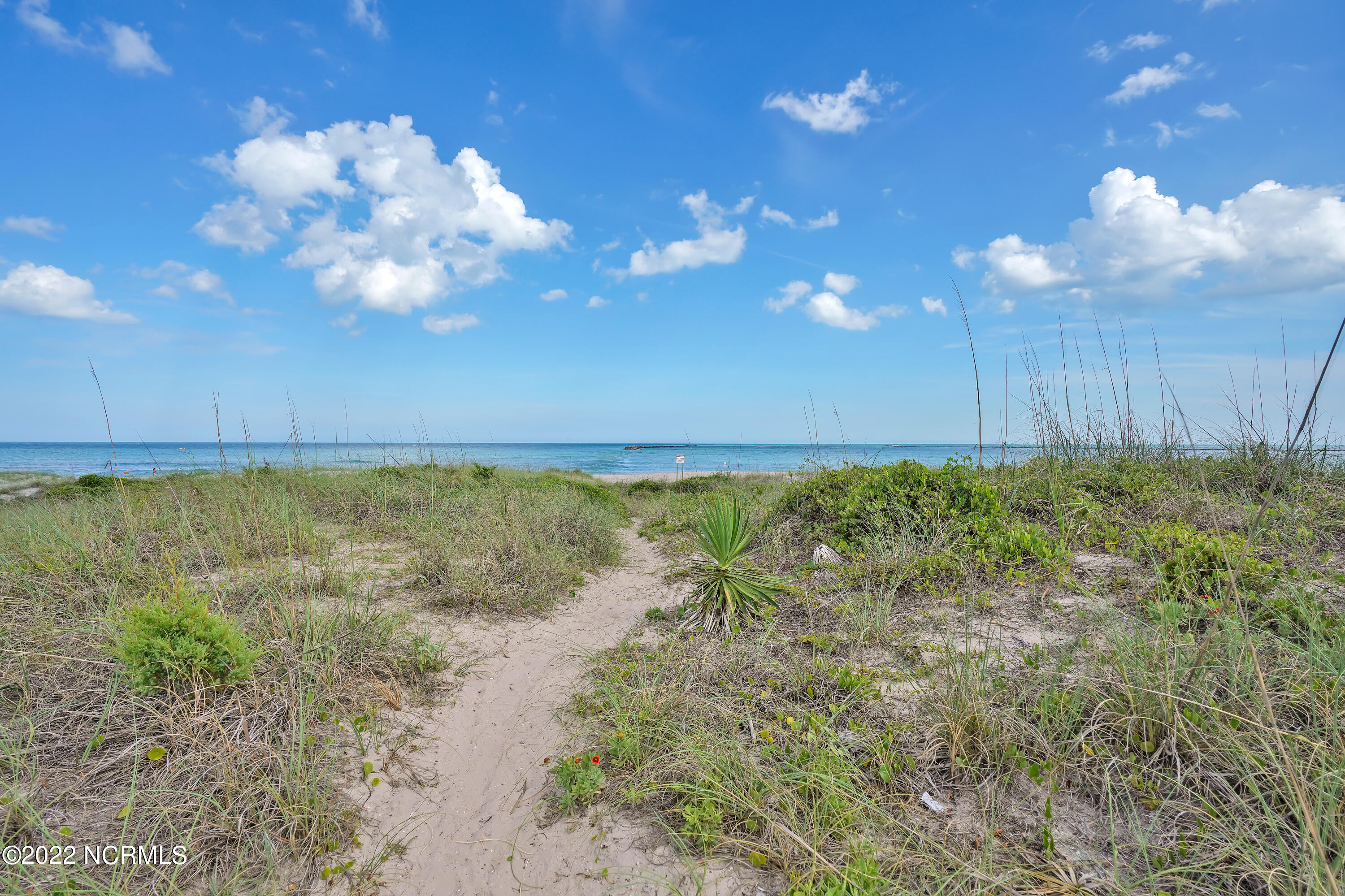 100462193 | Photo 77