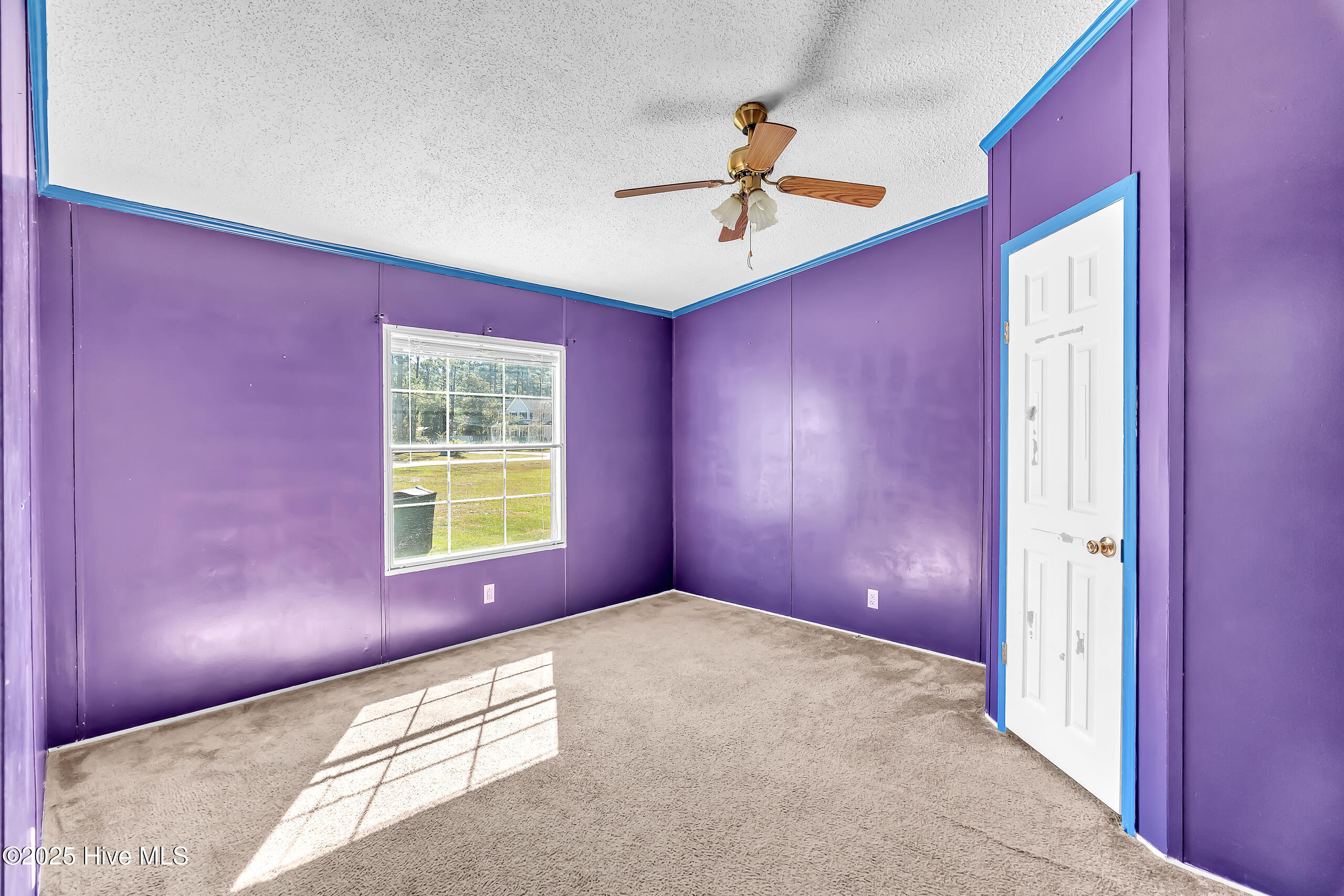 100538064 | Photo 23