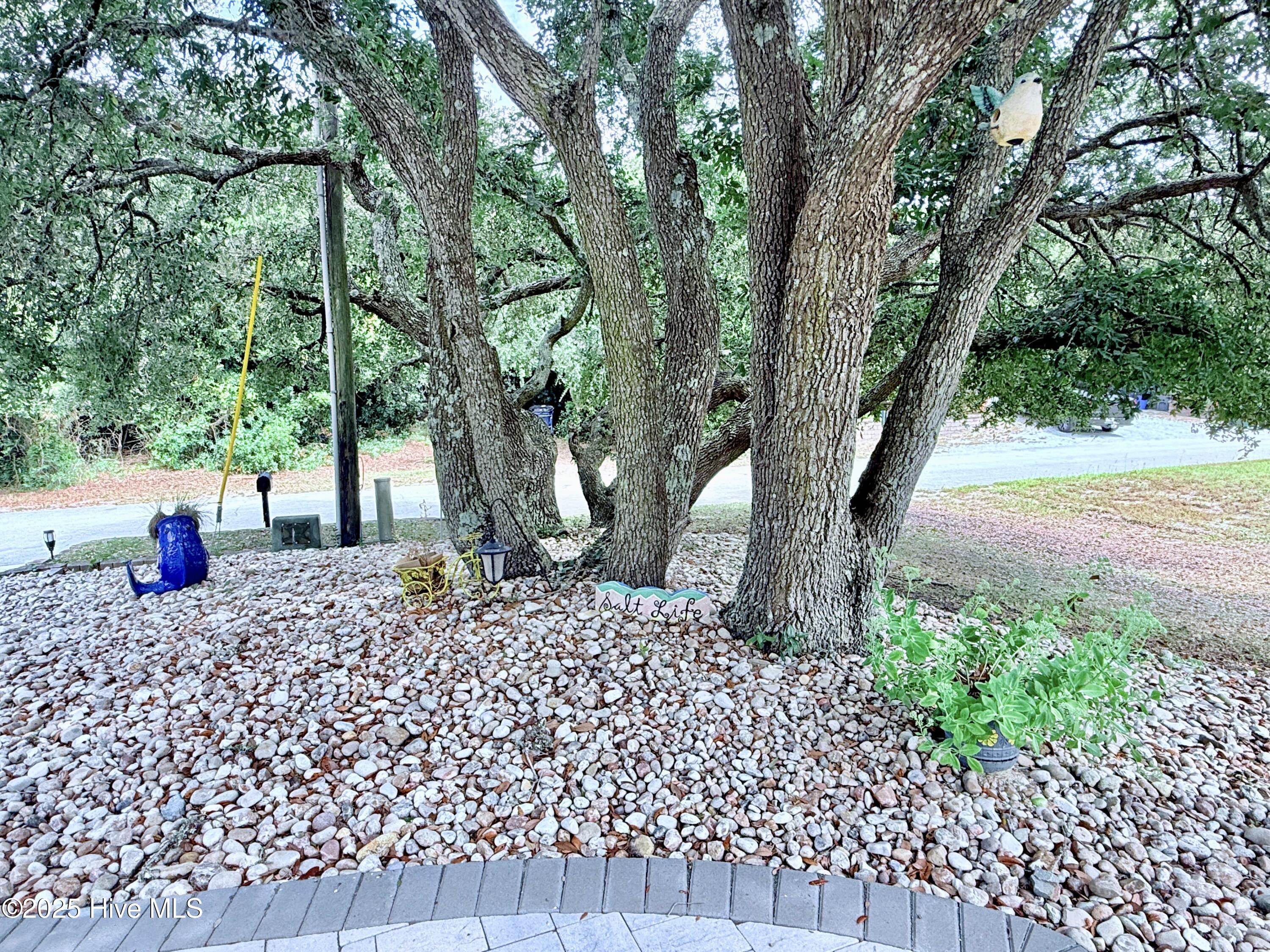 100530009 | Photo 16