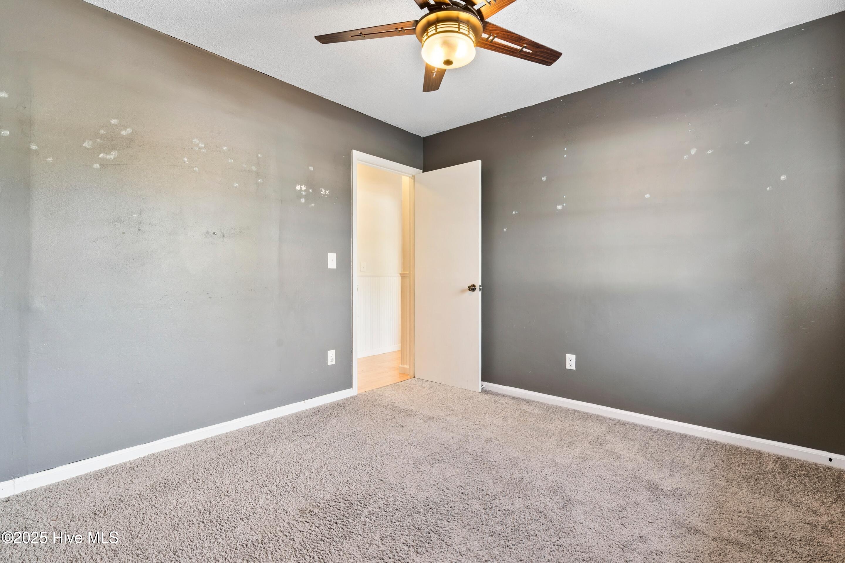 100546028 | Photo 43