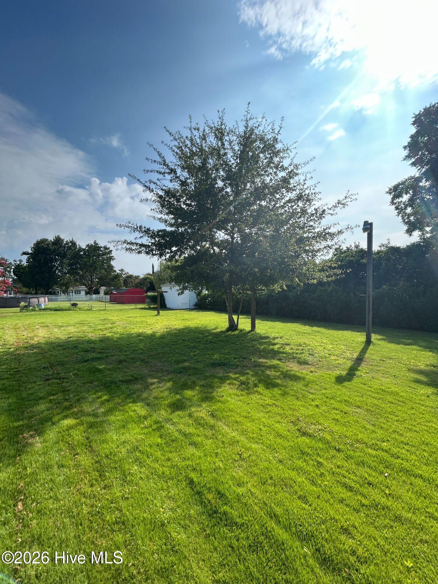 100563873 | Photo 19