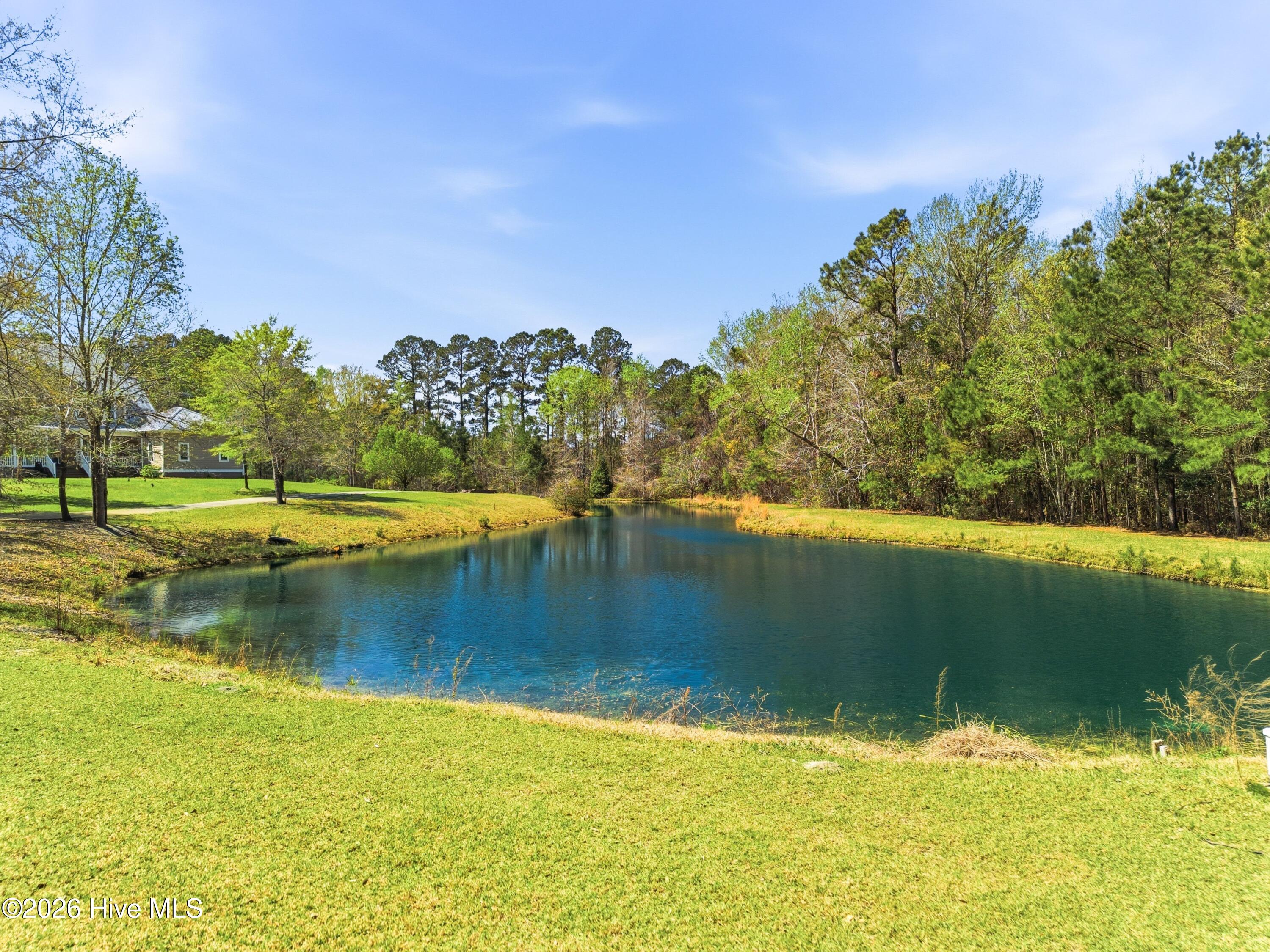 100564216 | Photo 49