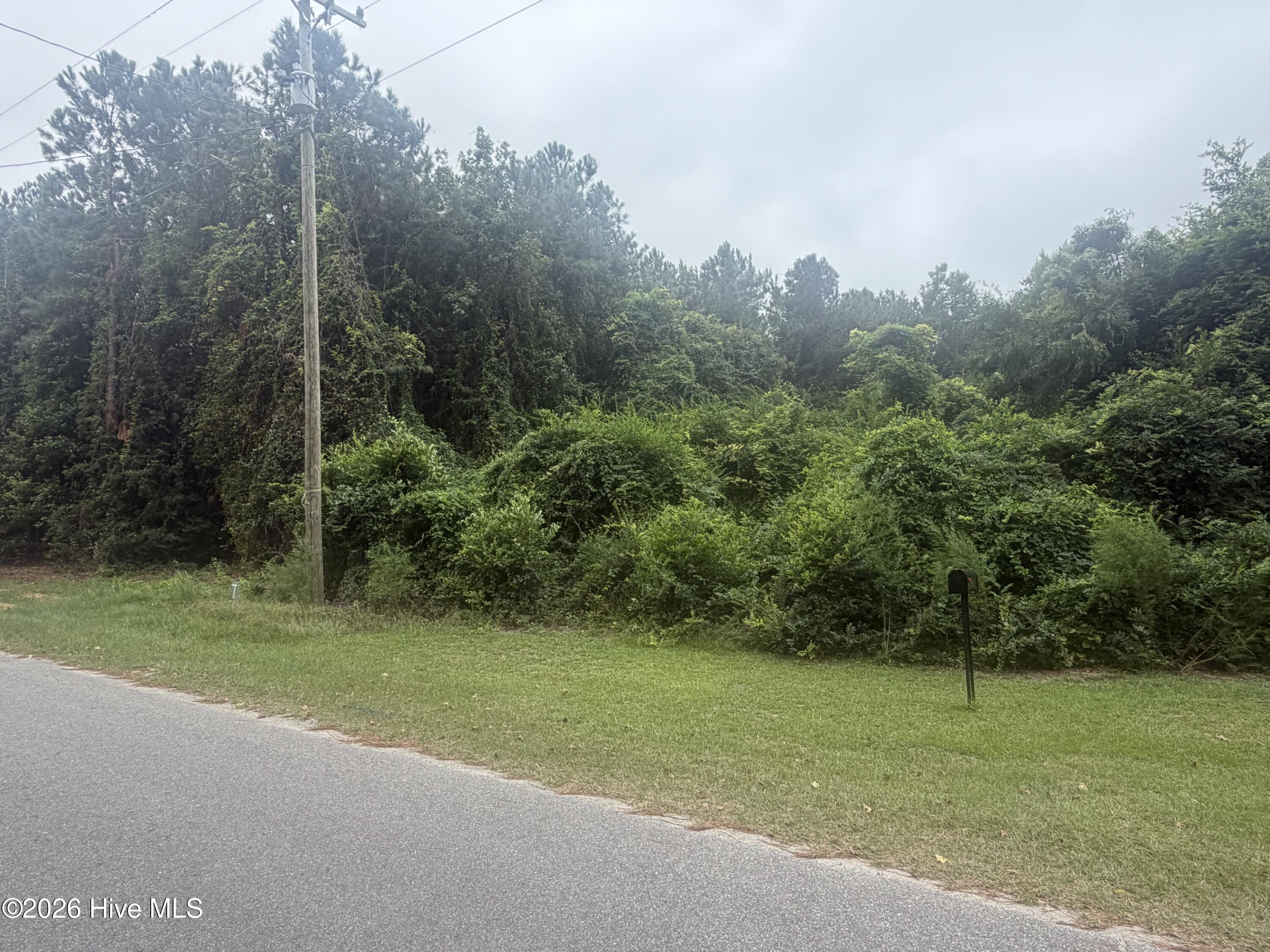 Photo 3 of Land for sale at (Undisclosed), Salemburg, NC 28385 | MLS# 100605335 | Listing updated on 2026-10-05