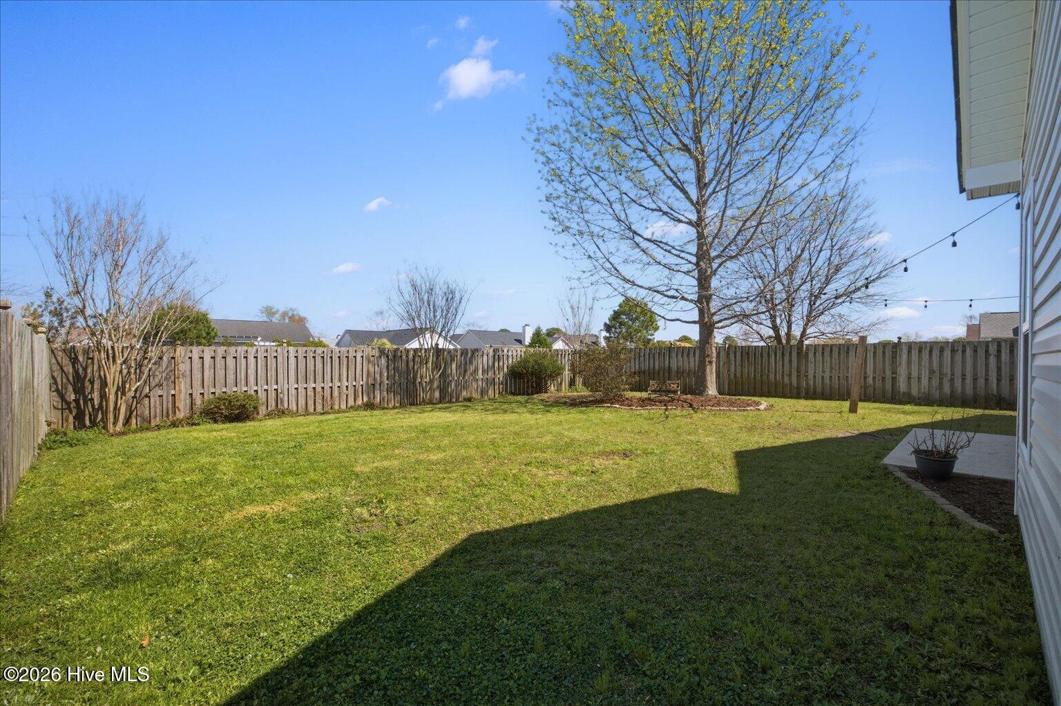 100561166 | Photo 39