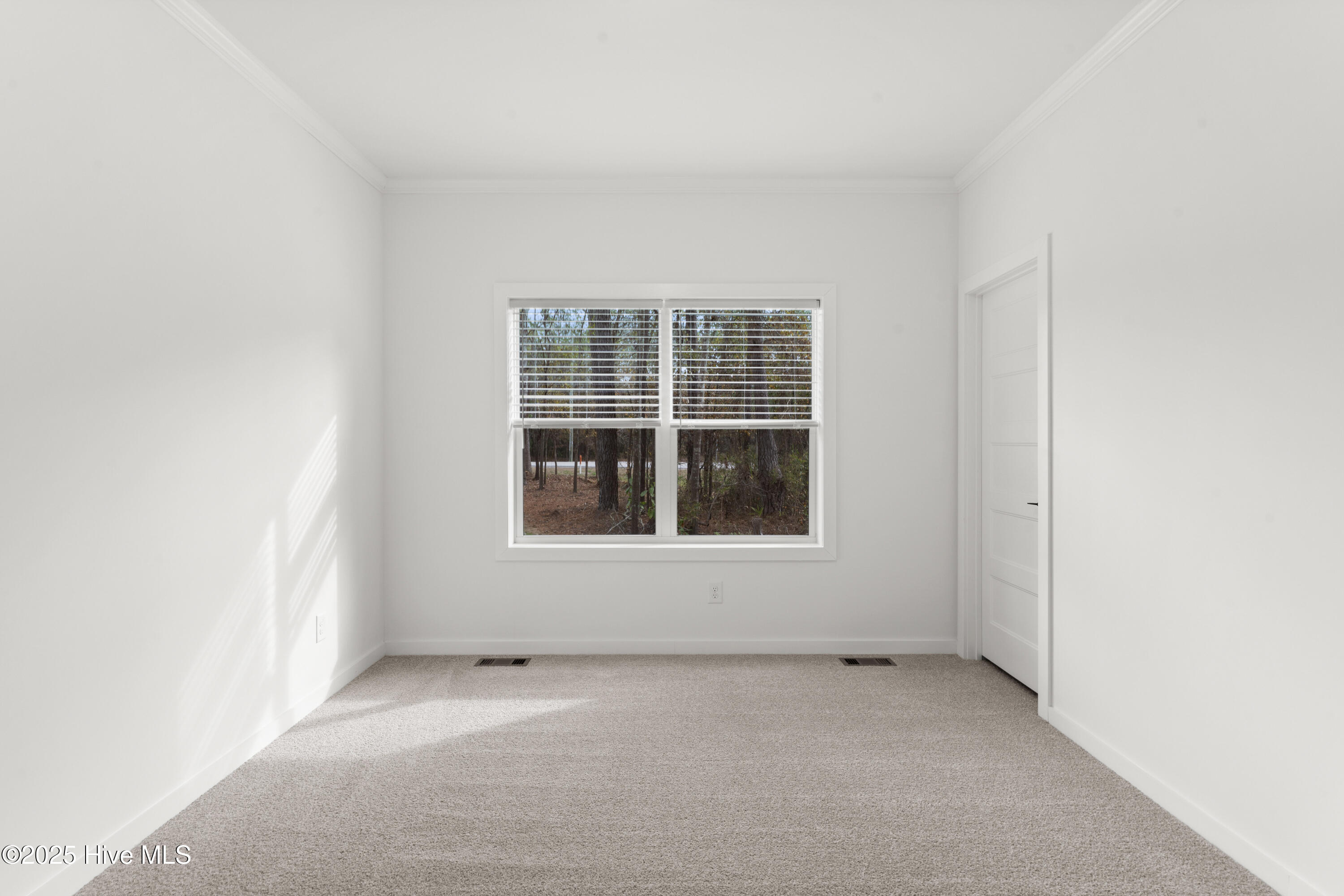 100546141 | Photo 27