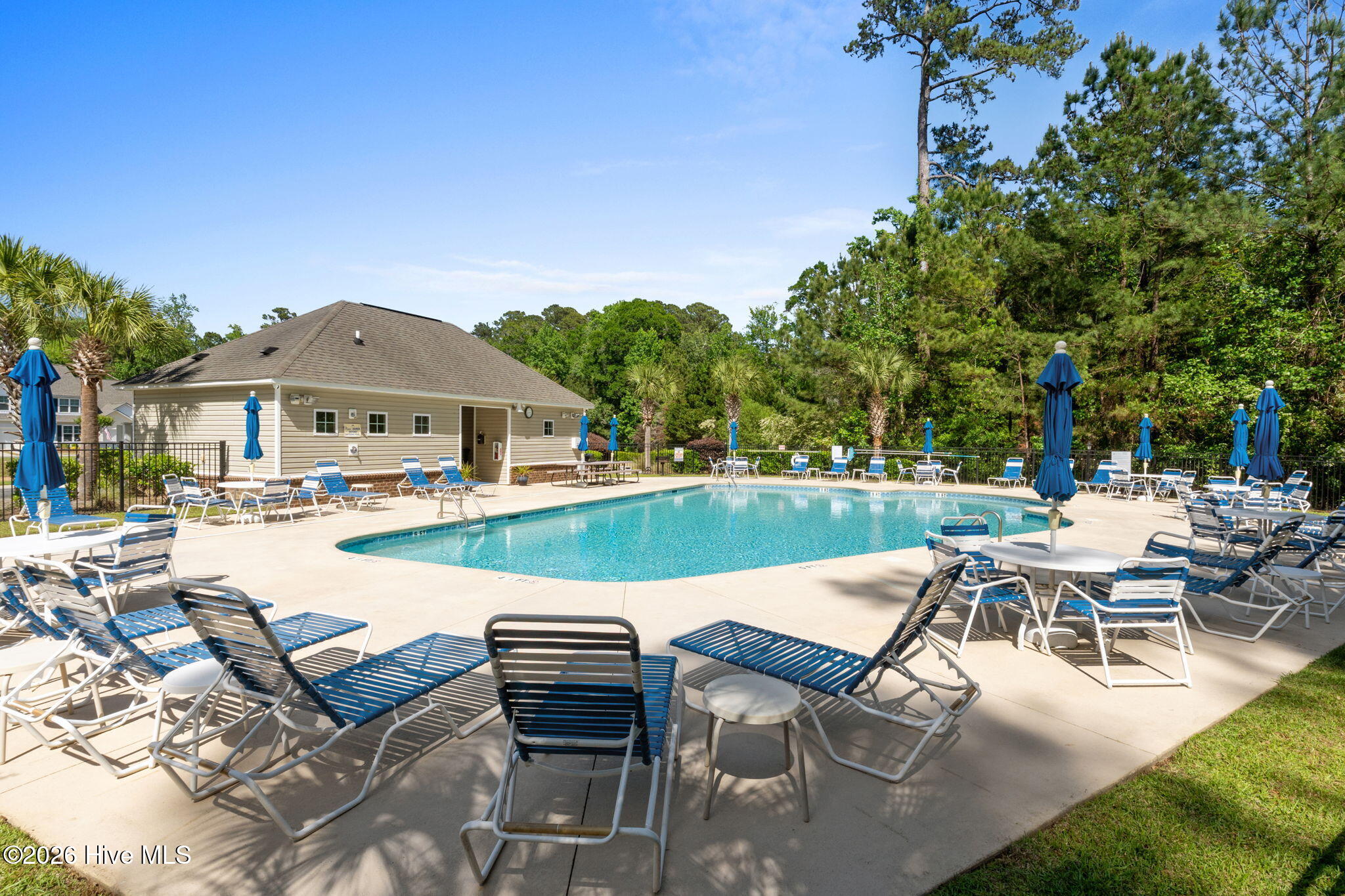 100570340 | Photo 74