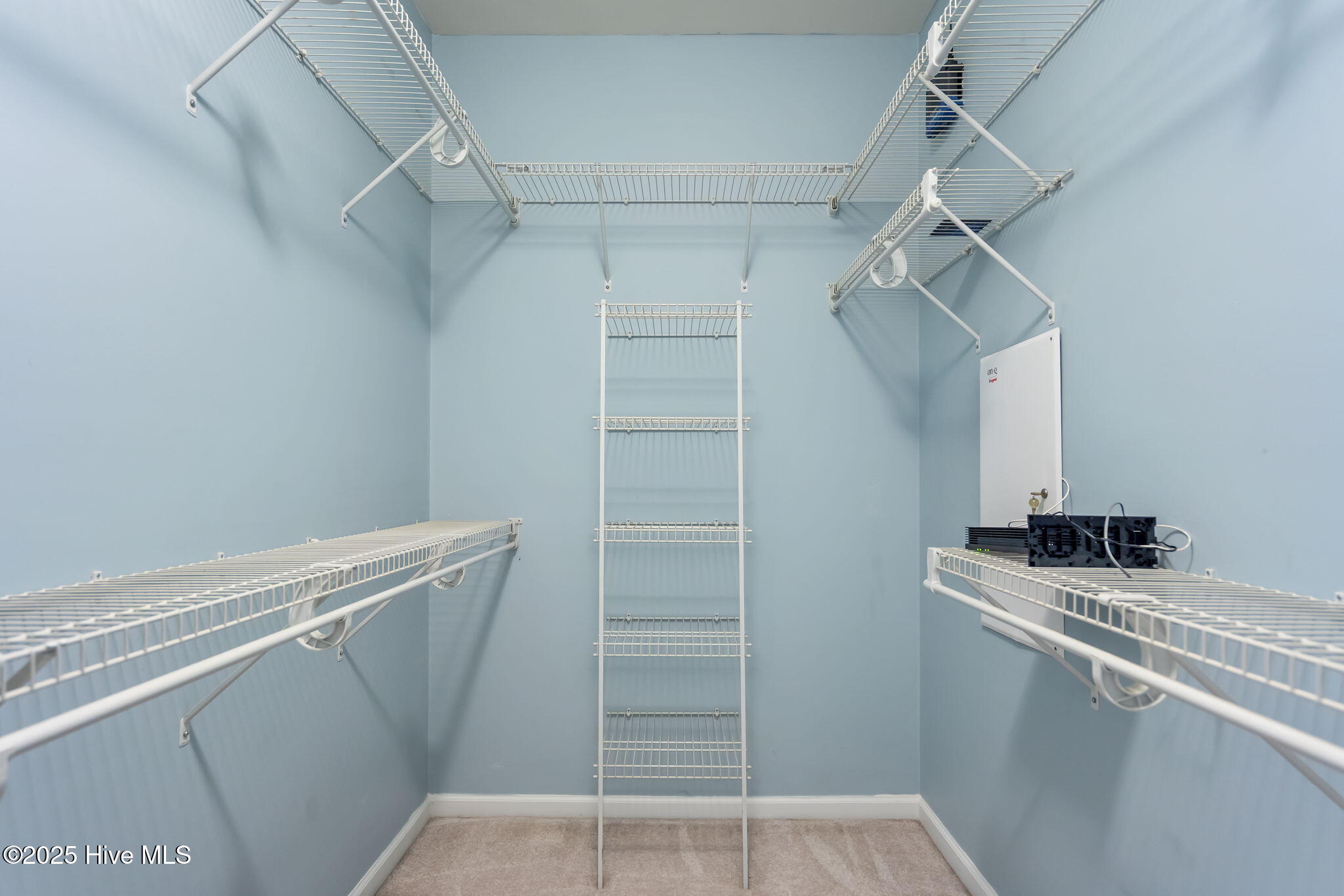 100538741 | Photo 28