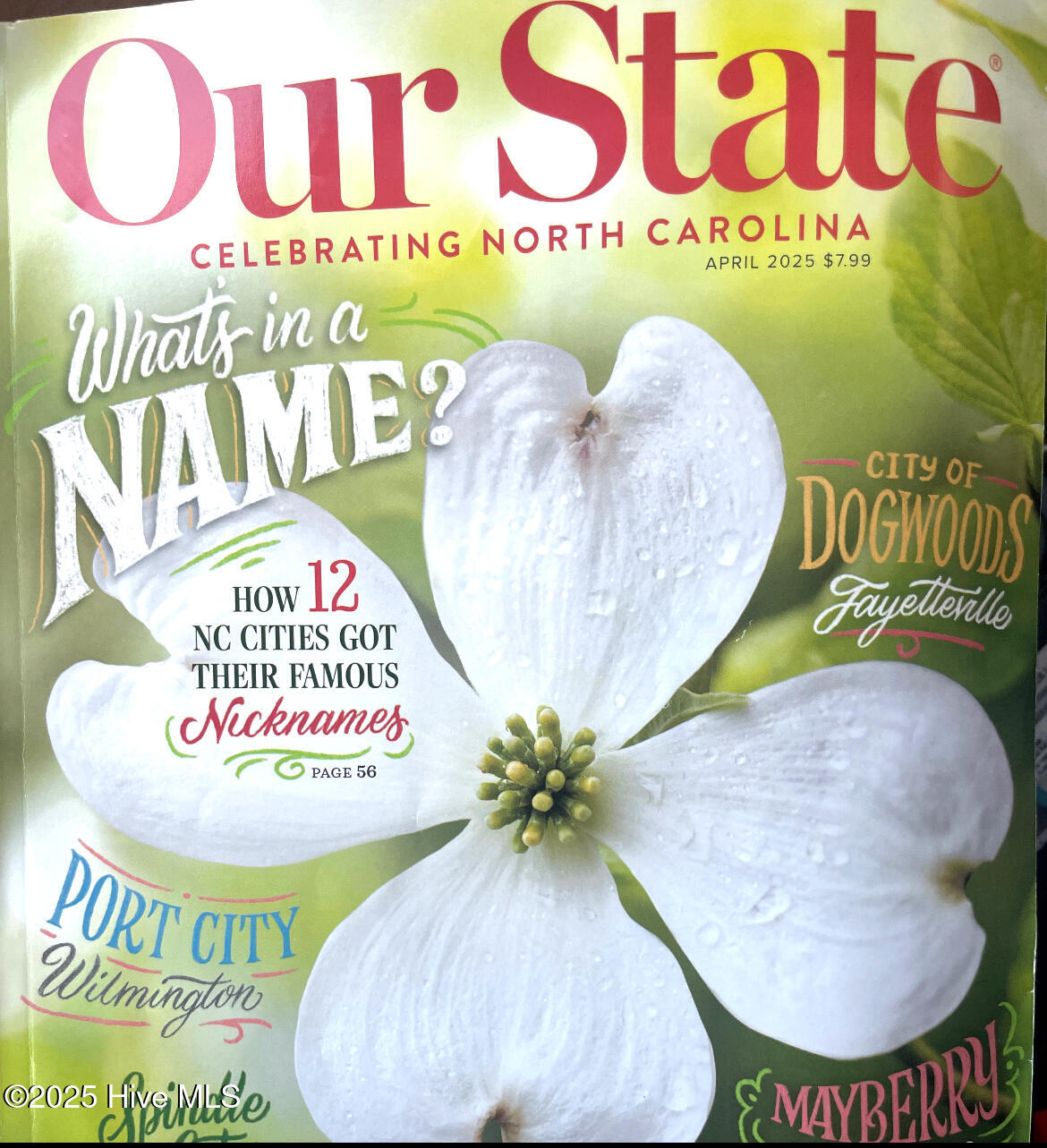 123 Vance Street, Clinton, NC, 28328