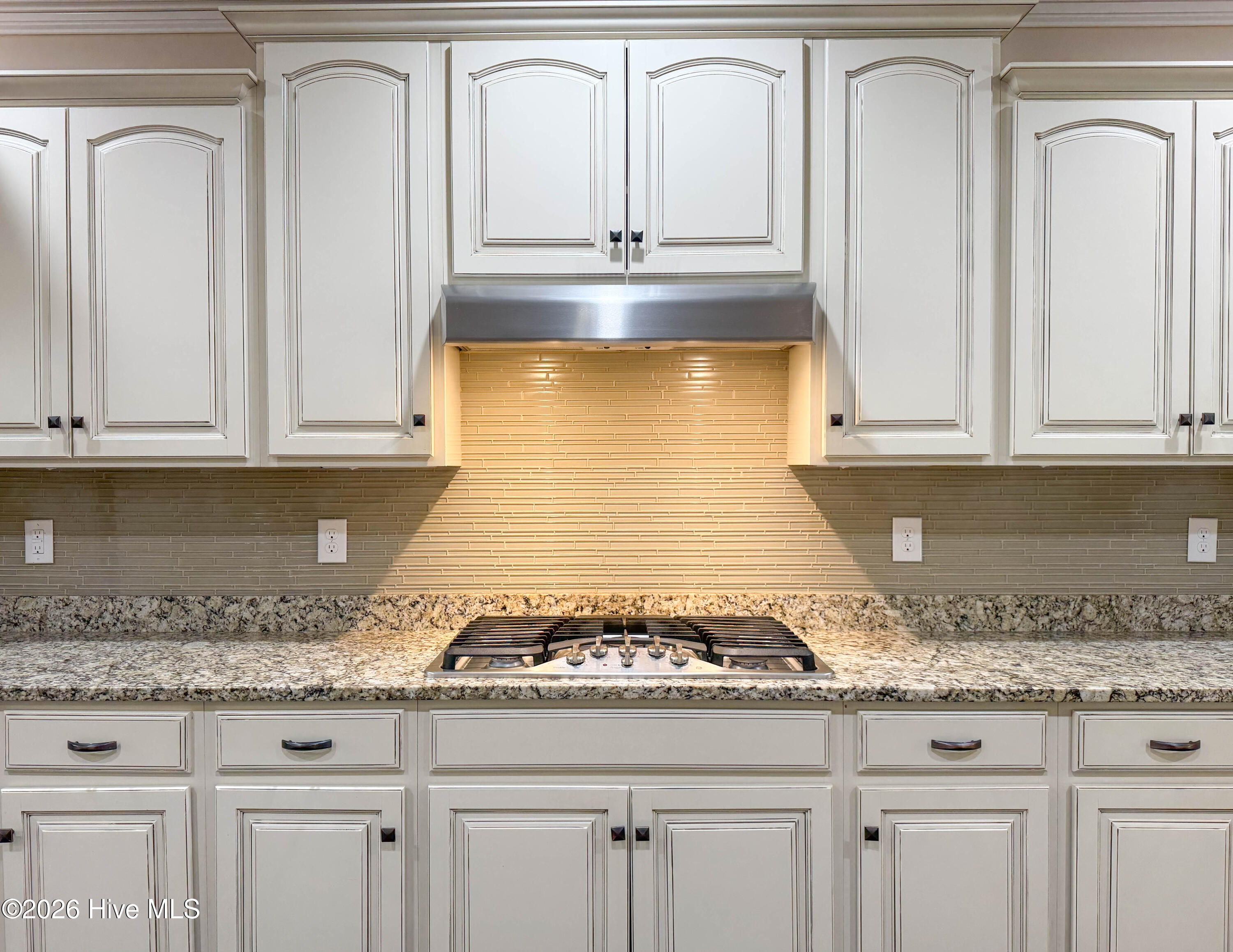 100564868 | Photo 17