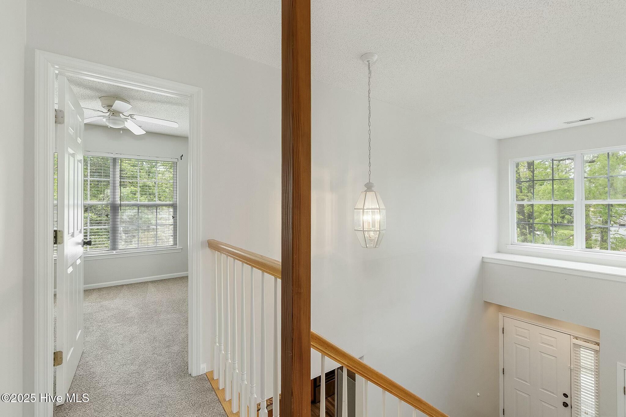 203 Panama Terrace,Morehead City