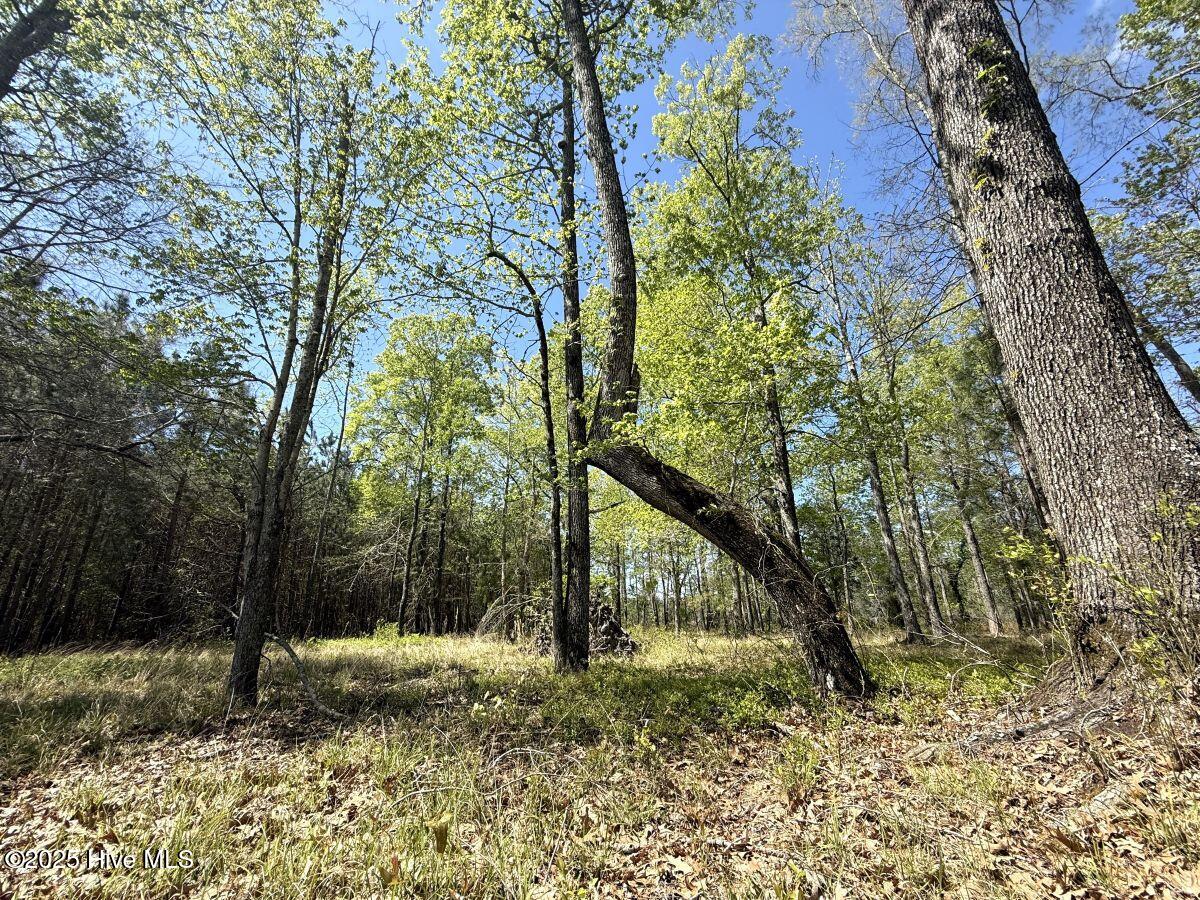 Lot 48 Sunset Point, Belhaven, NC, 27810