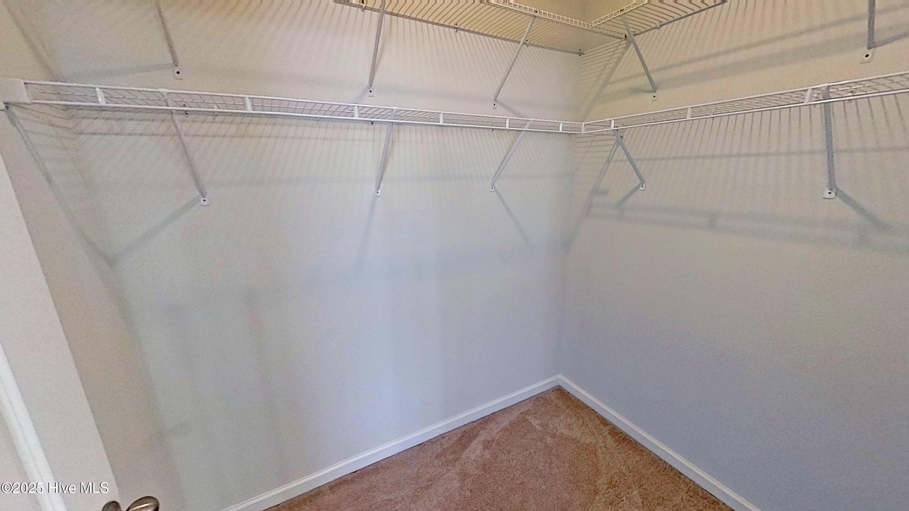 100543063 | Photo 13