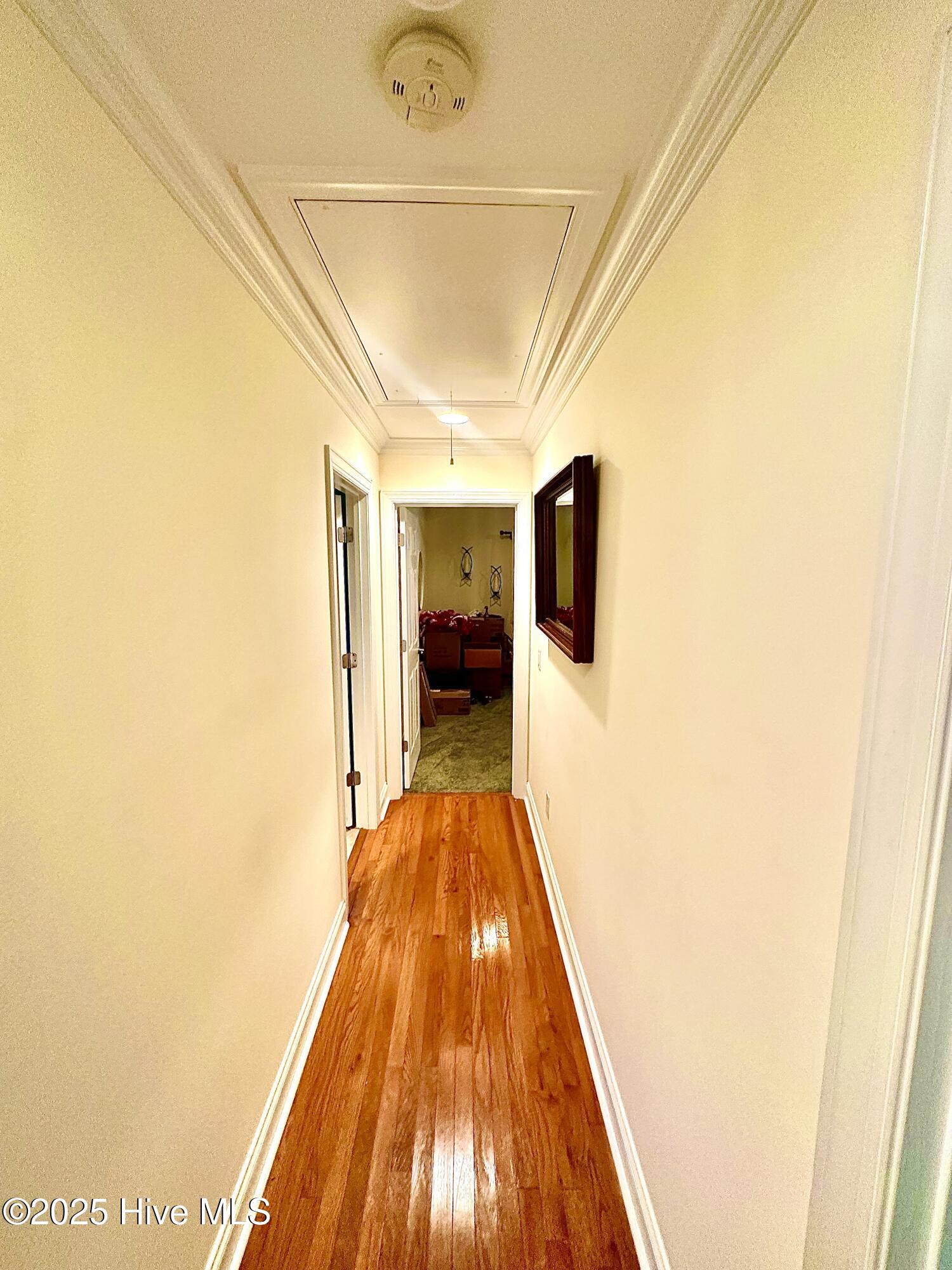 100523246 | Photo 20