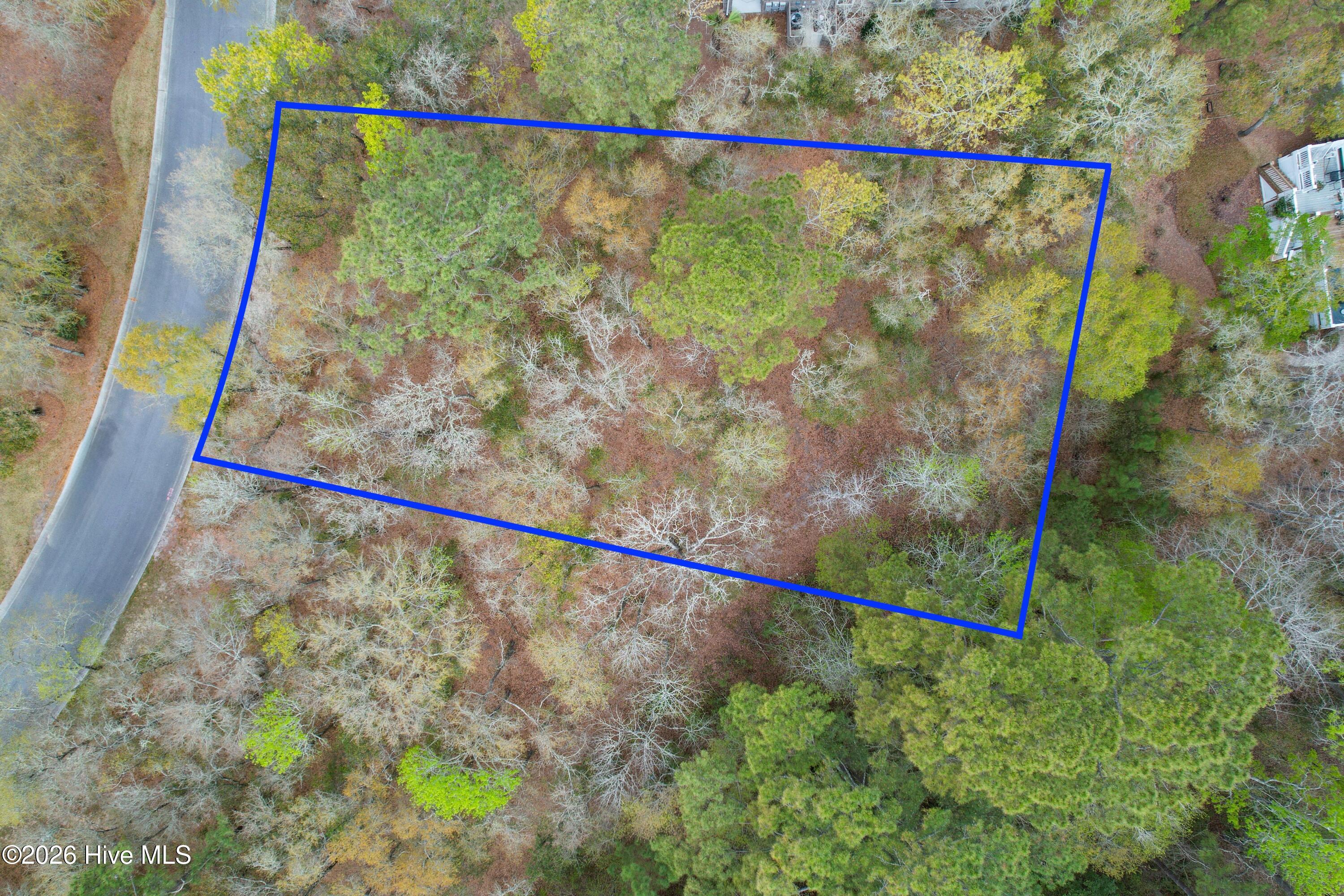 100567626 | Photo 18