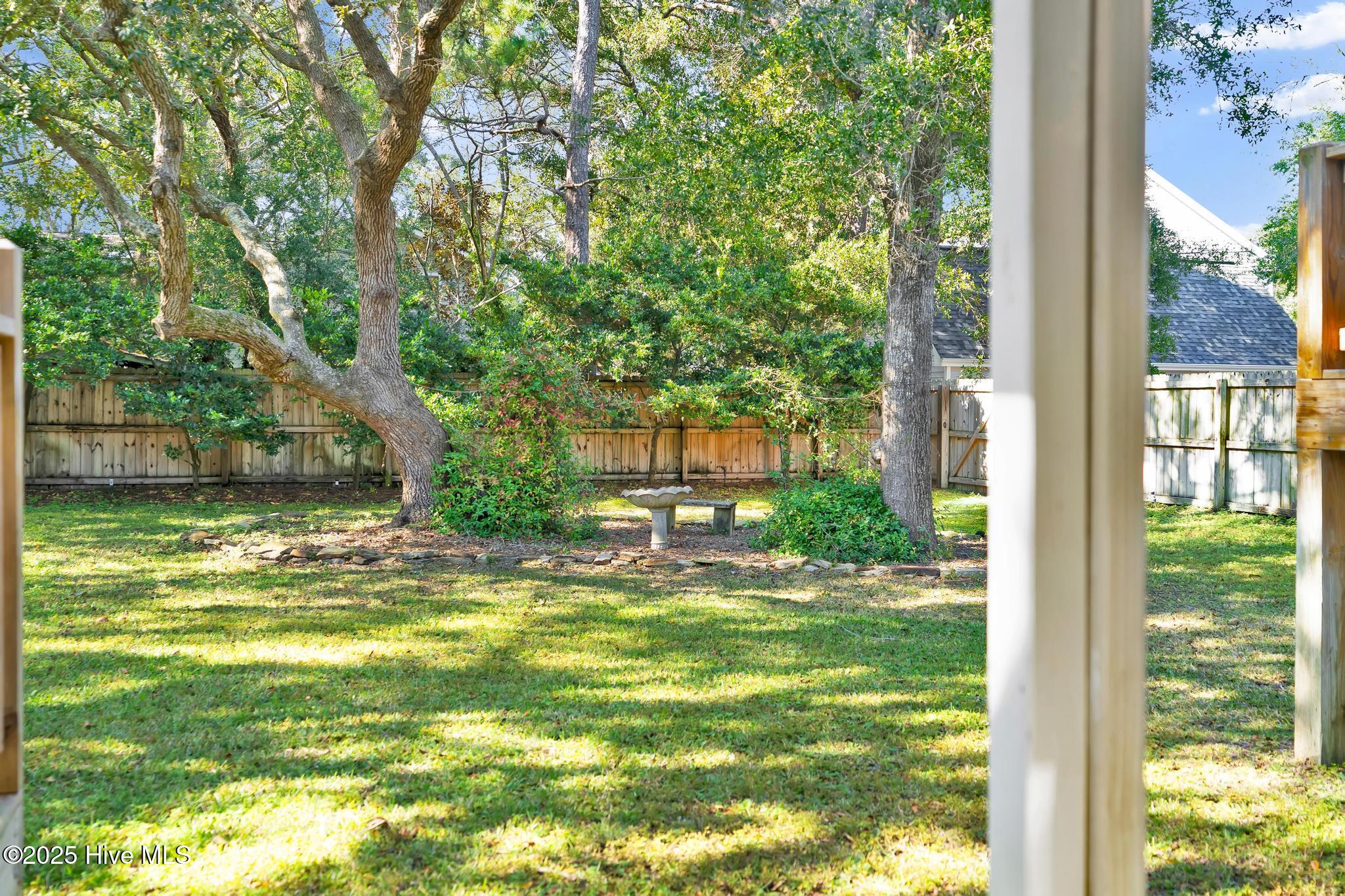 100541095 | Photo 43