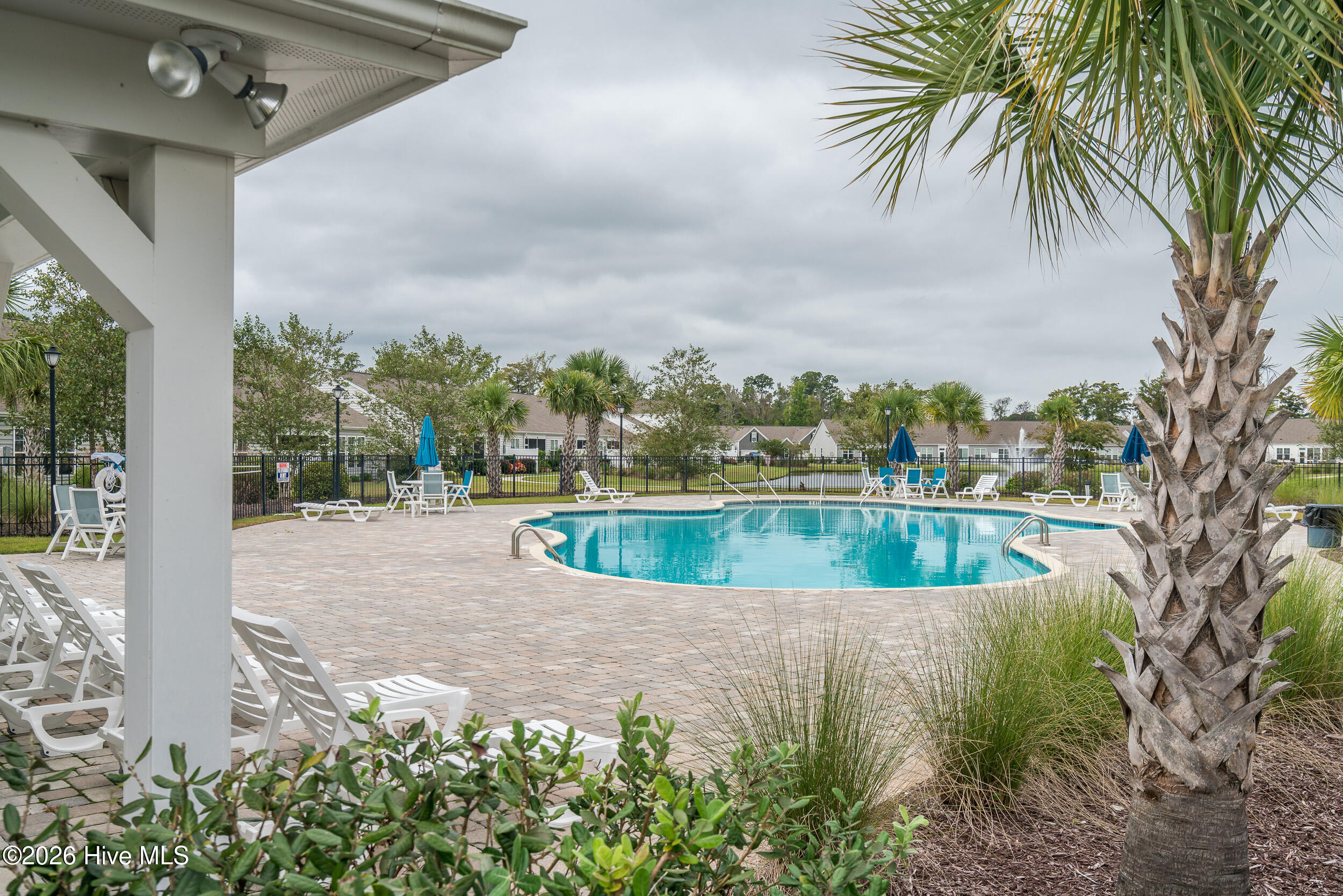 100551488 | Photo 42