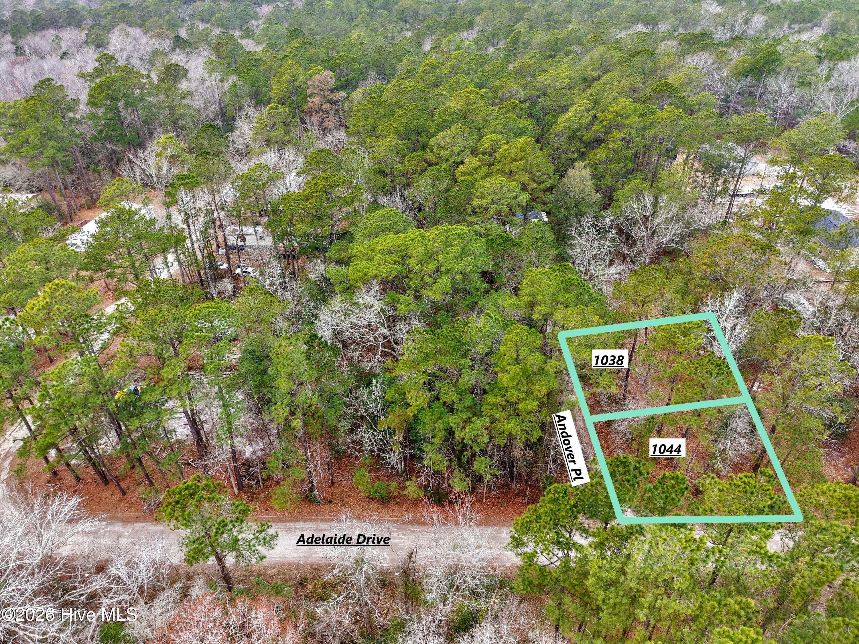 100557075 | Photo 10