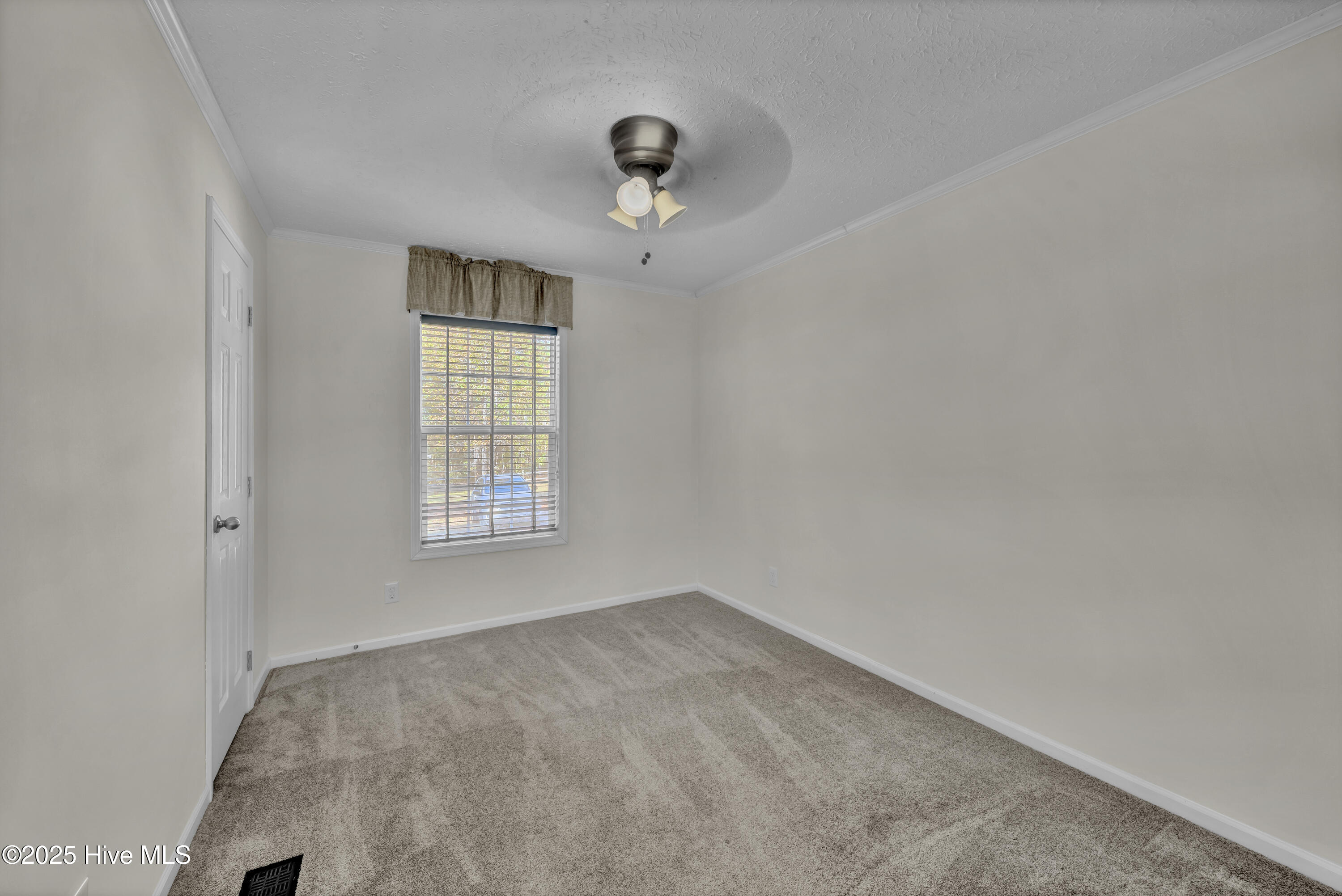 100540891 | Photo 19