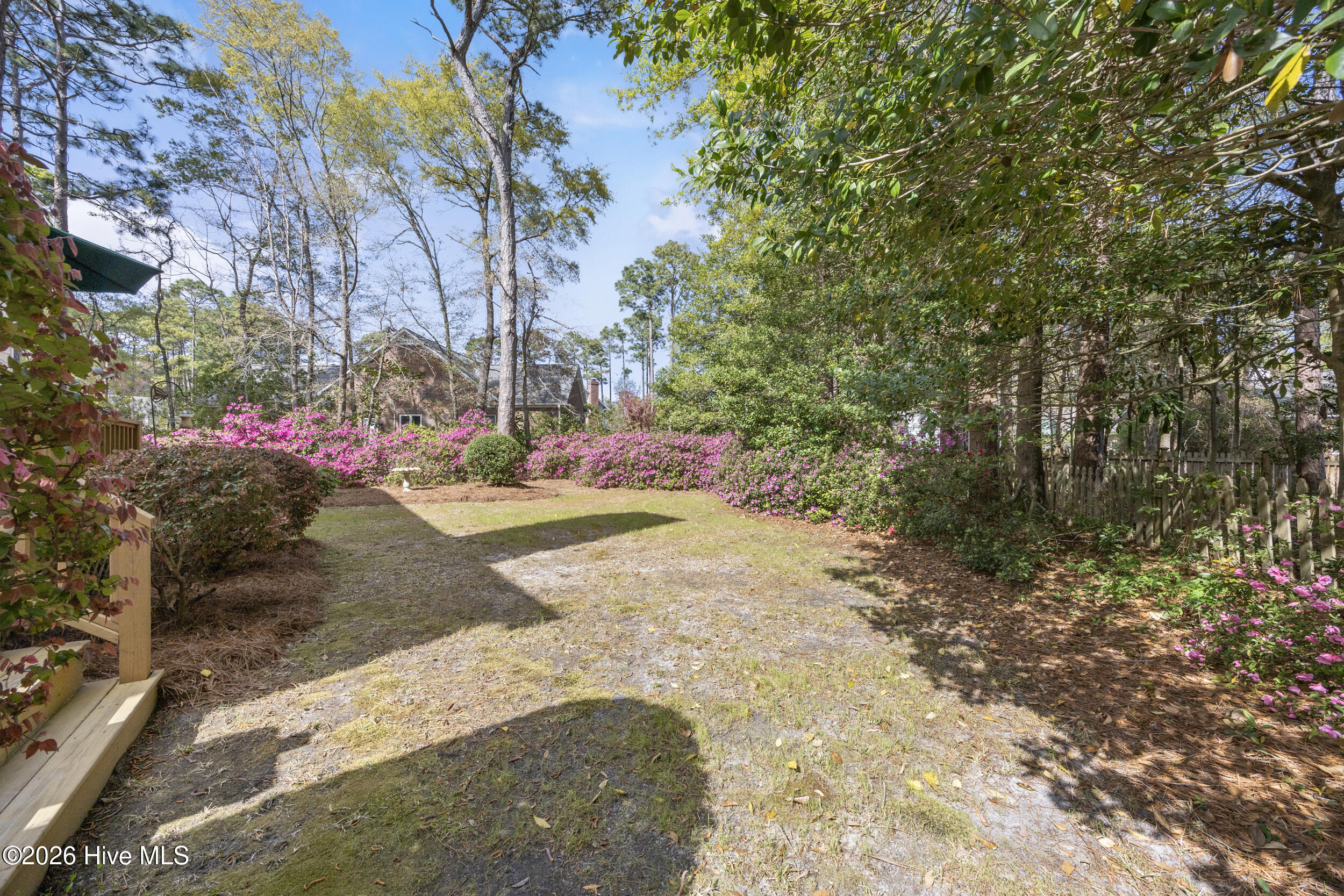 100564035 | Photo 53