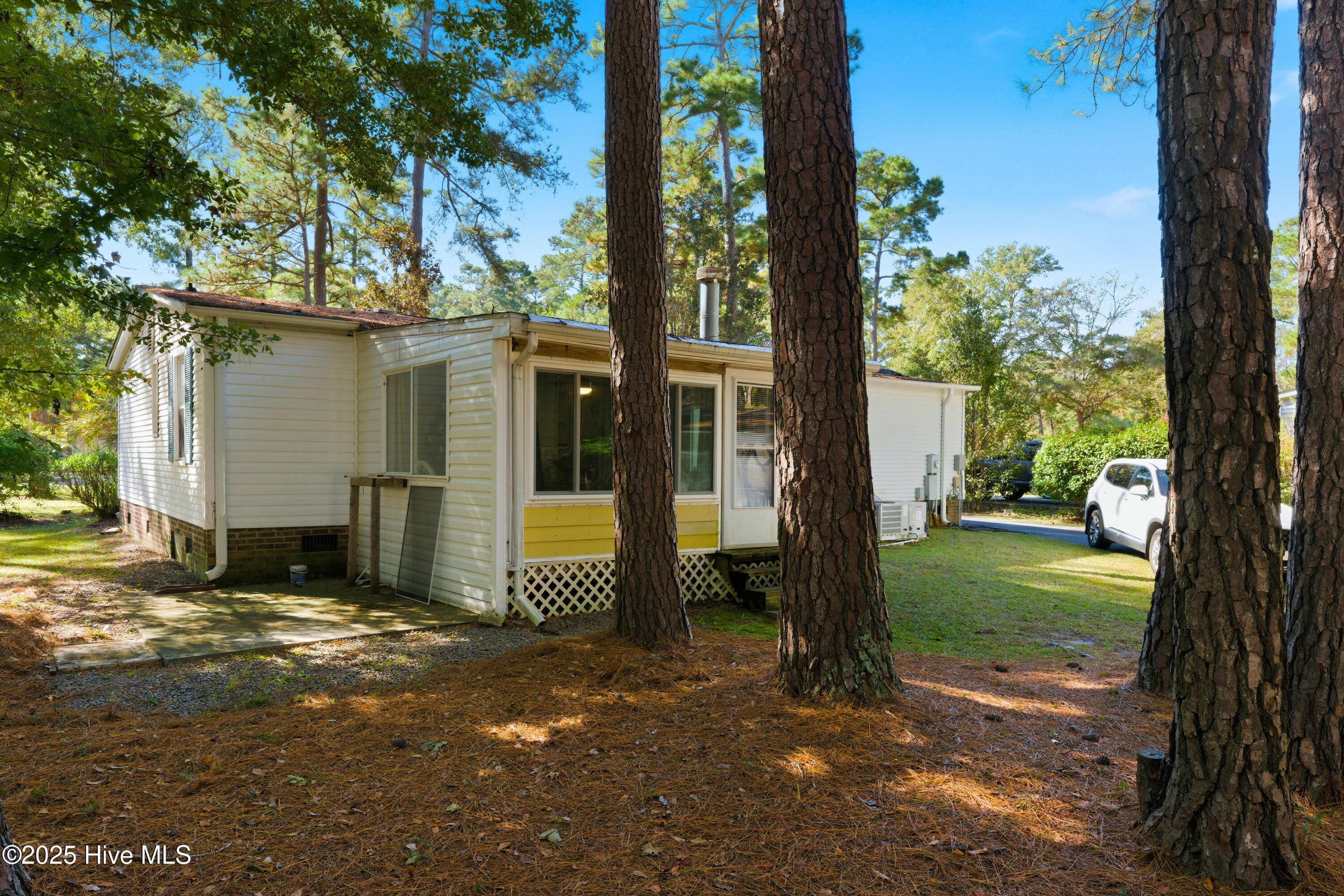 100538513 | Photo 36