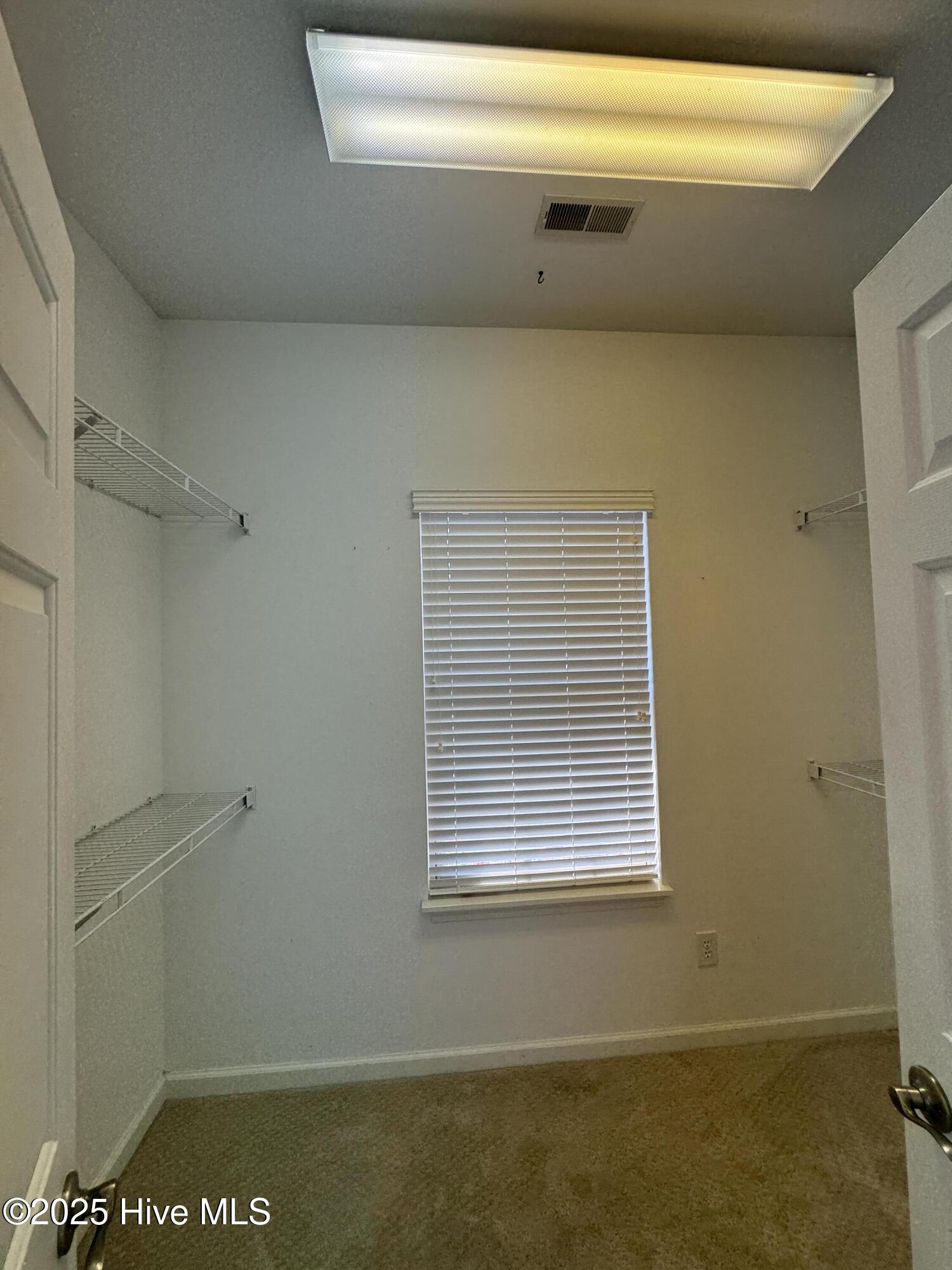 100532583 | Photo 17