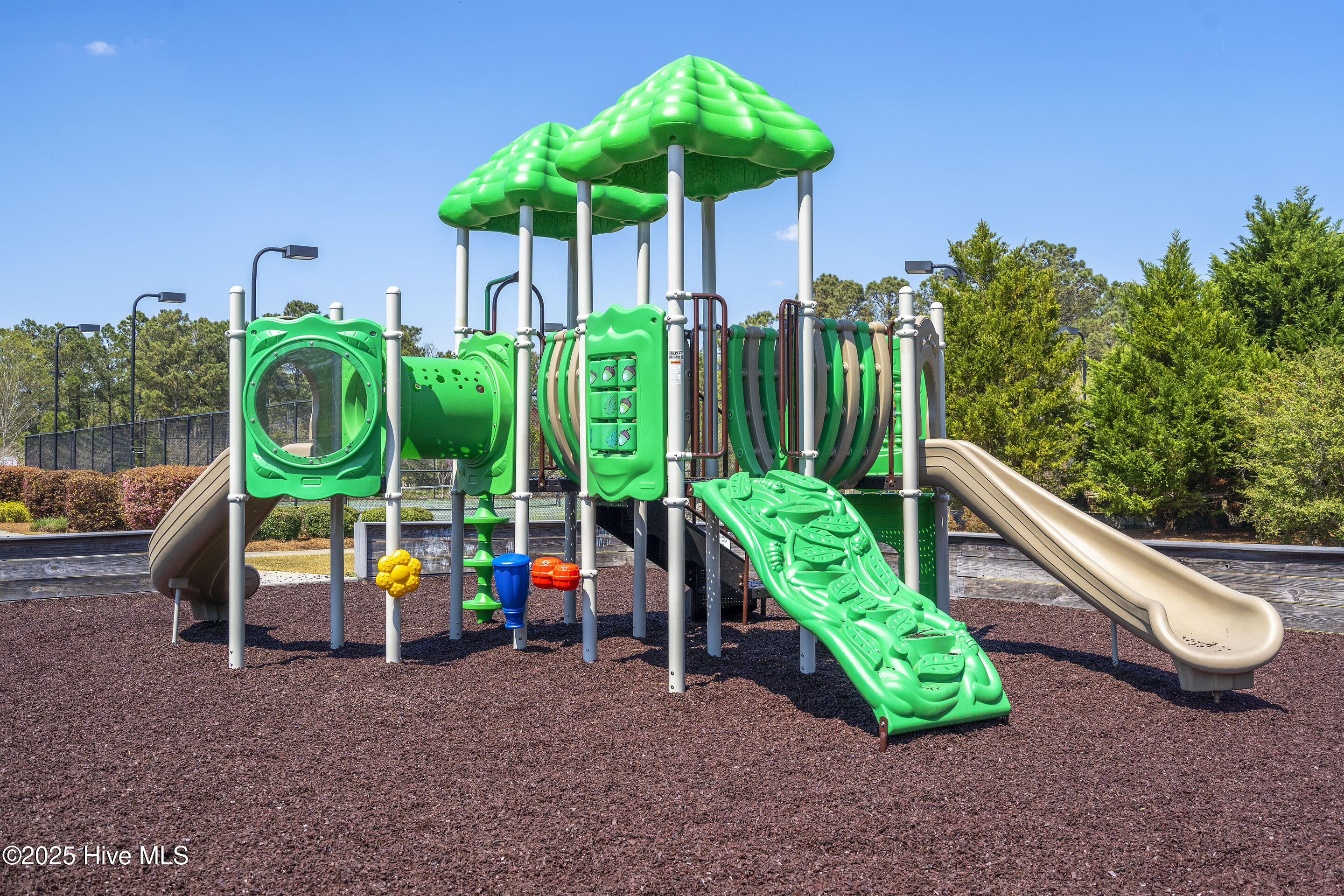 100506329 | Photo 54