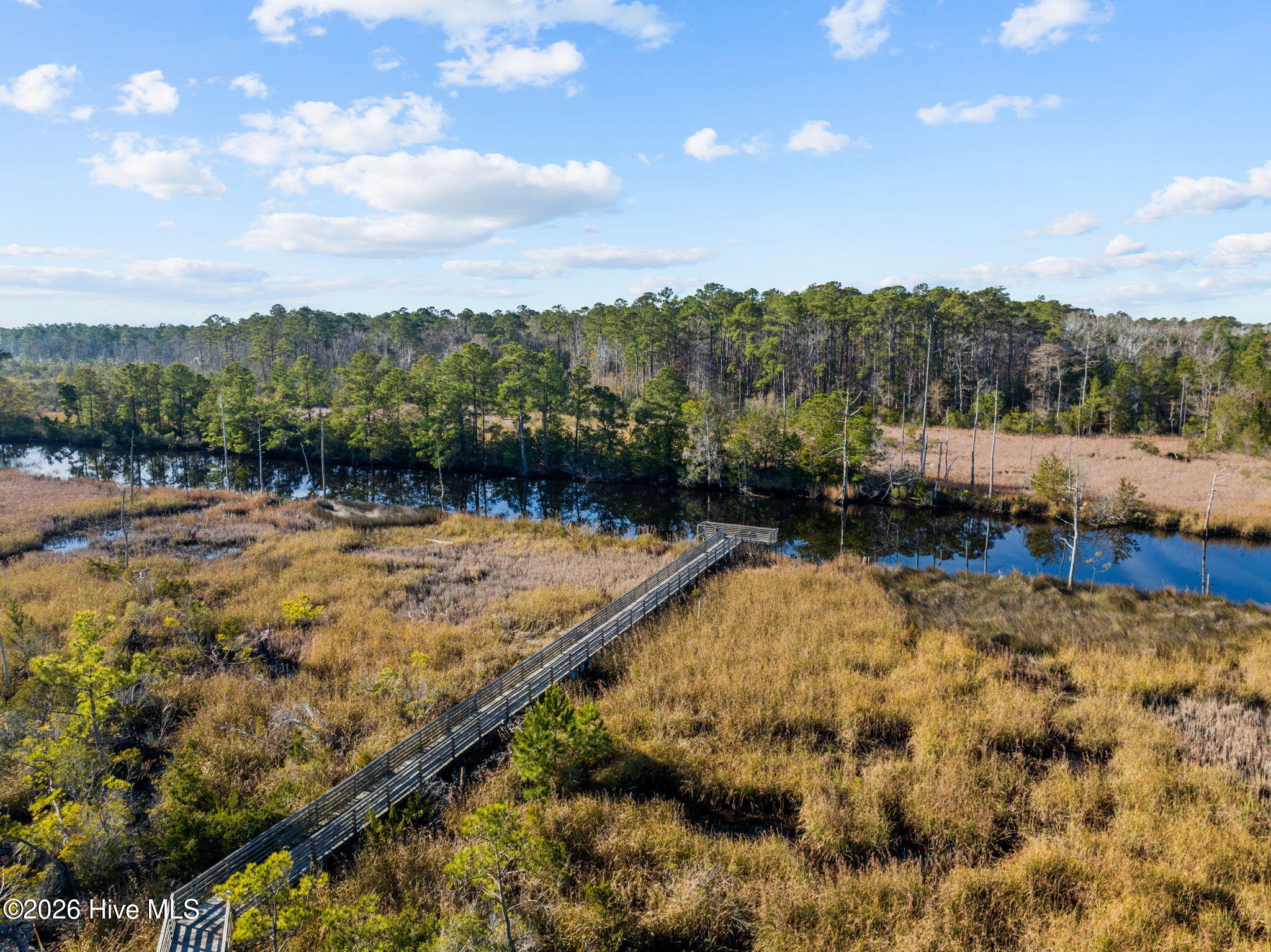 100563731 | Photo 71