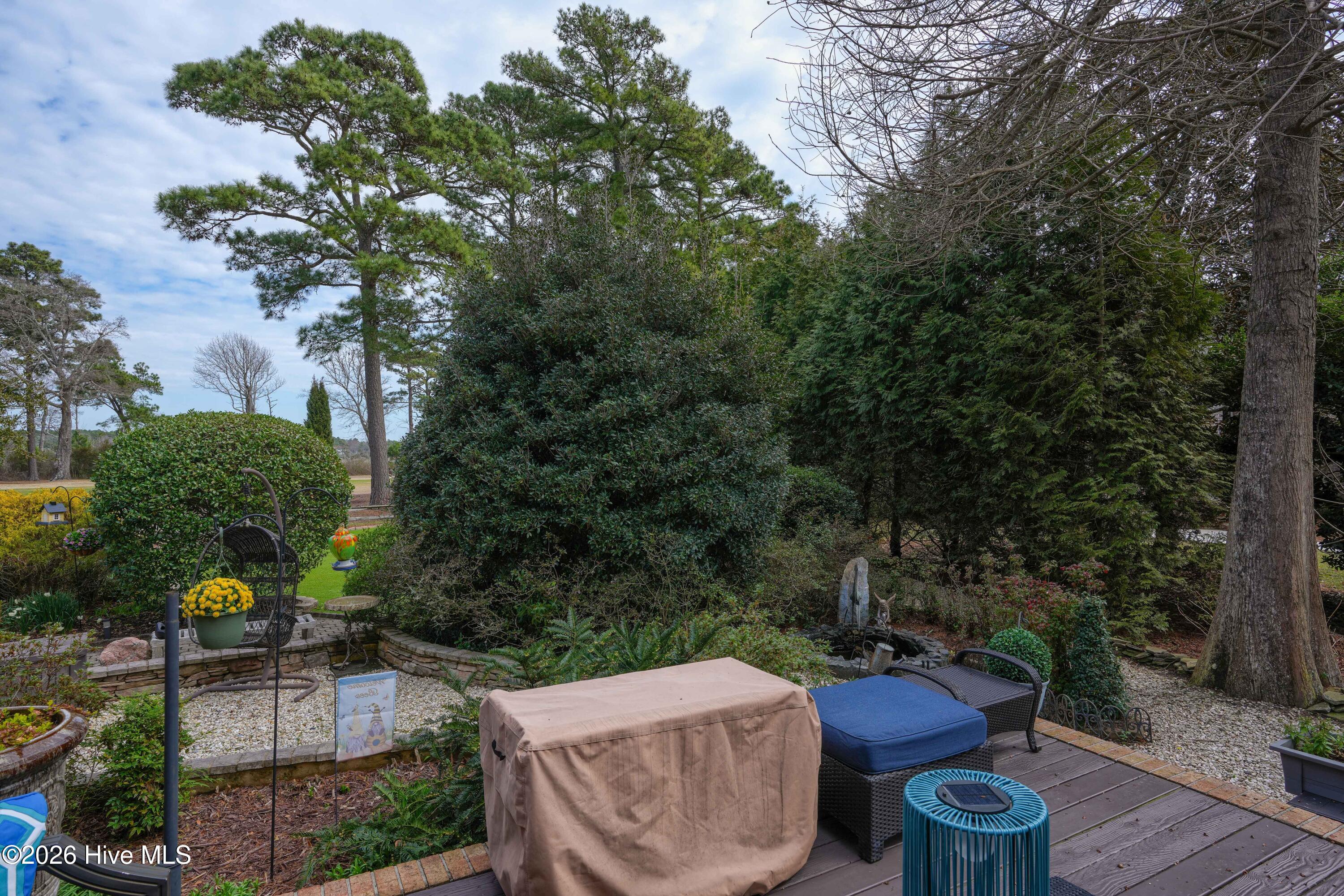 100559840 | Photo 43