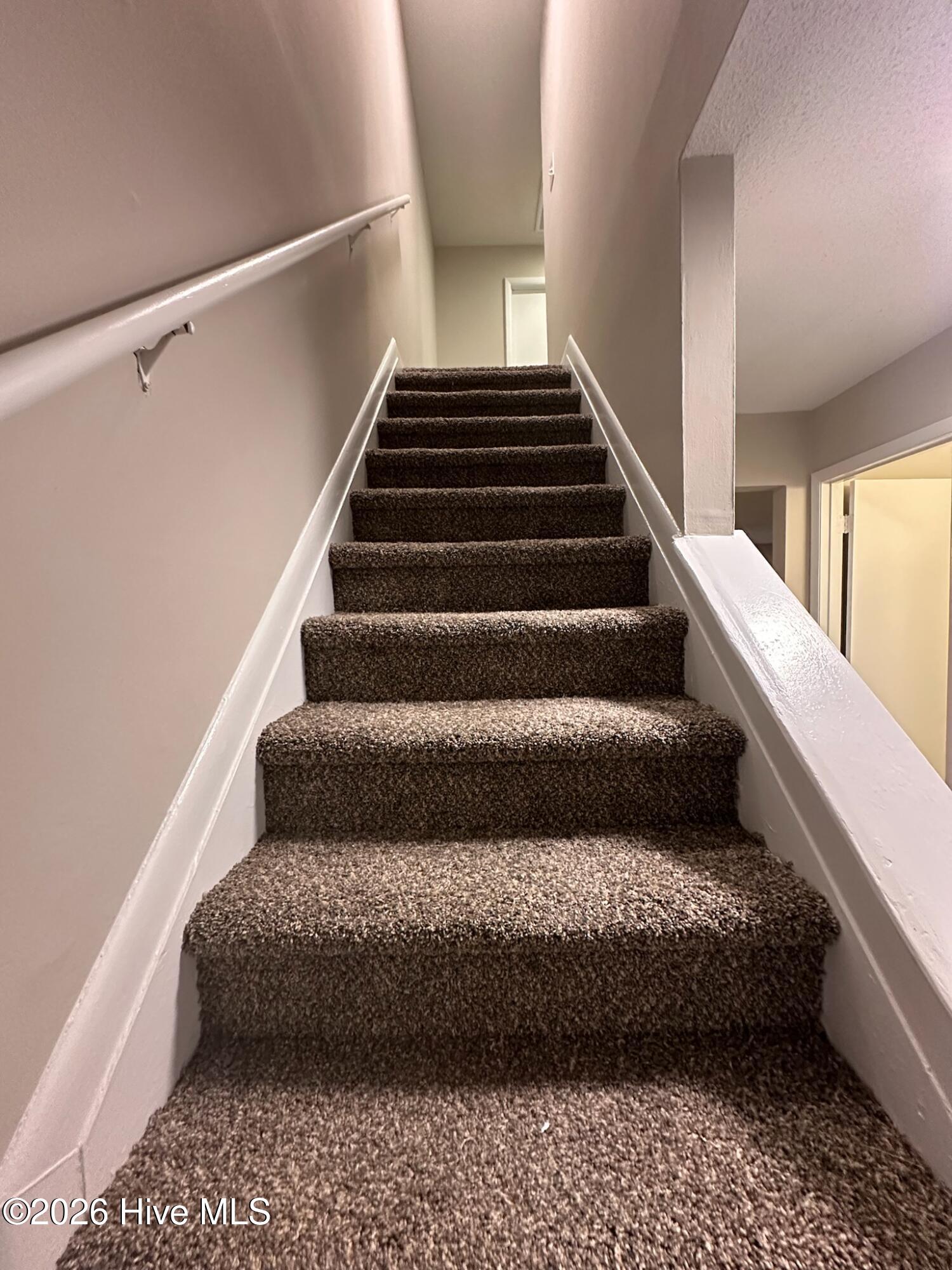 100550435 | Photo 15