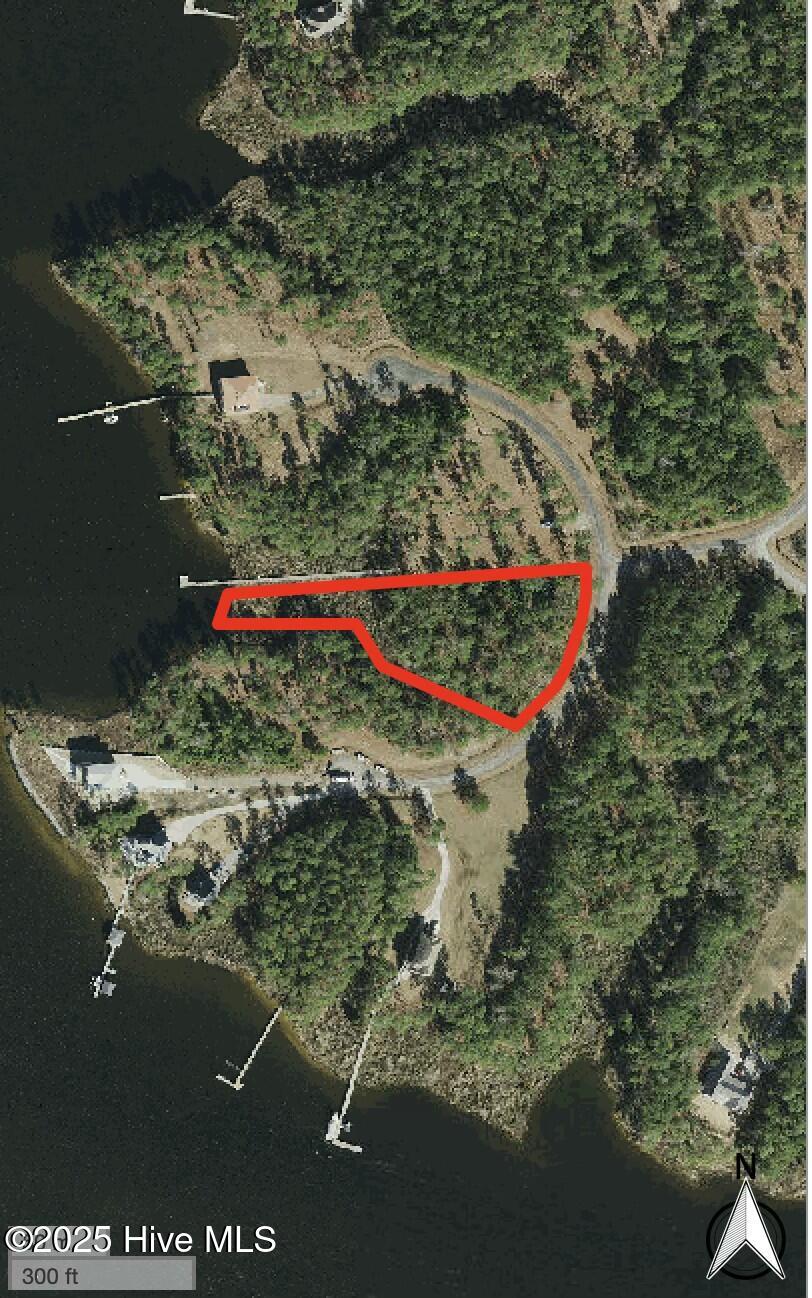 Lot #54 GIS Satellite Image