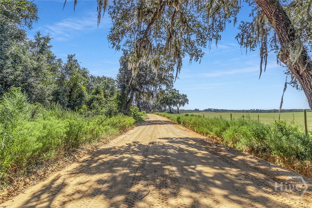 1110 W US Hwy 280, Reidsville, GA, 30453