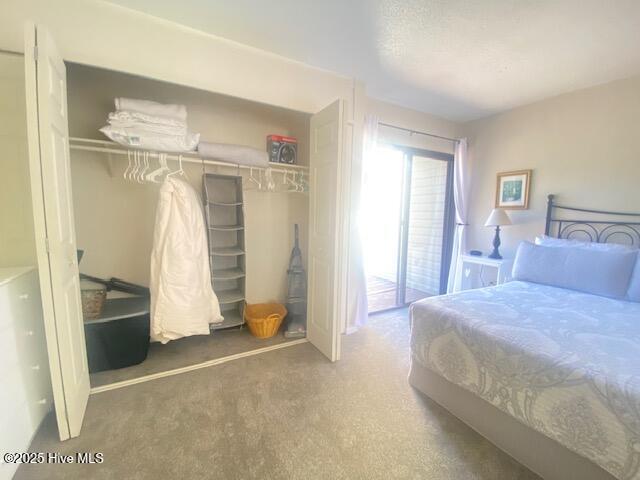 100530134 | Photo 43