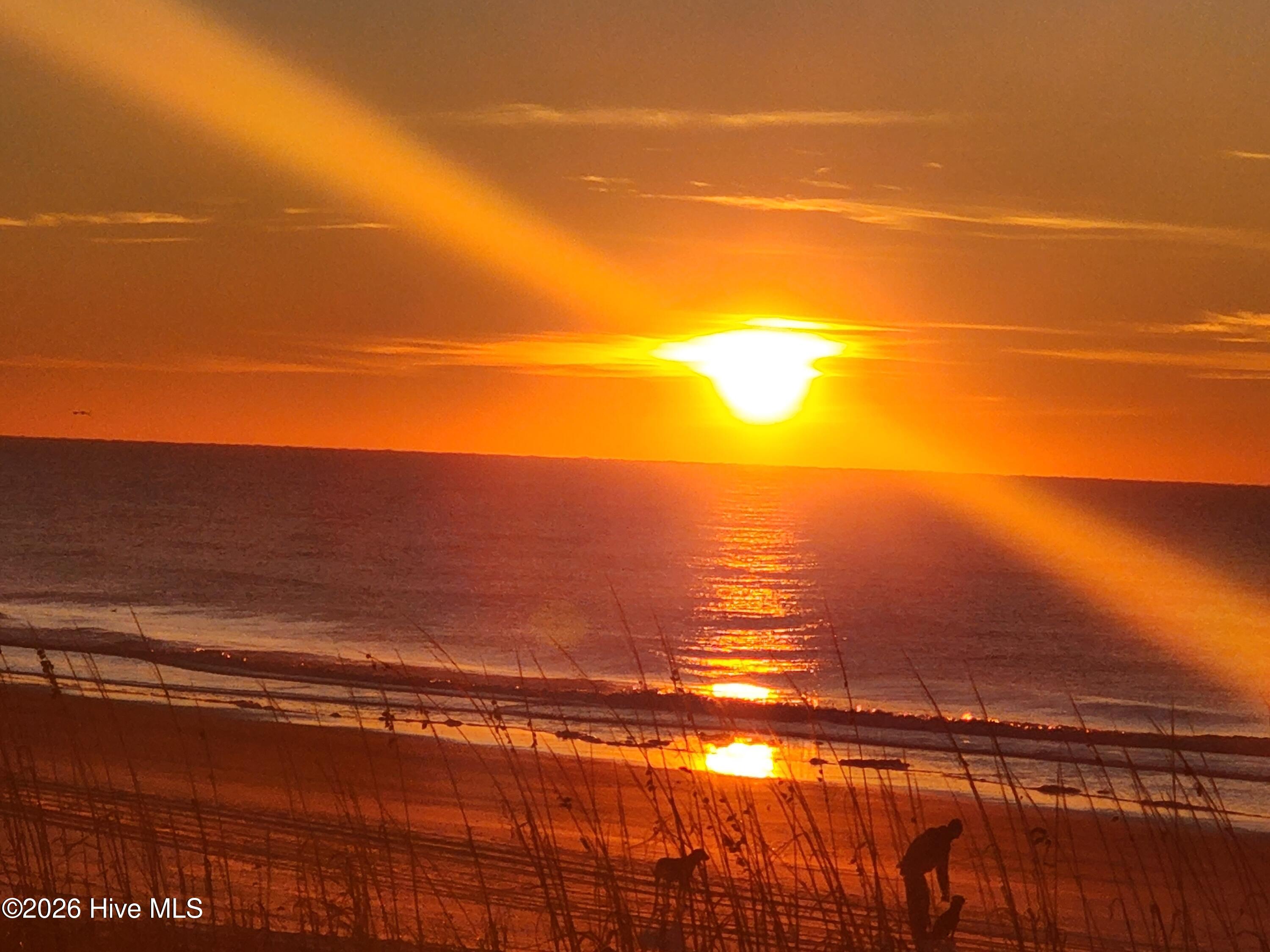 100549892 | Photo 45