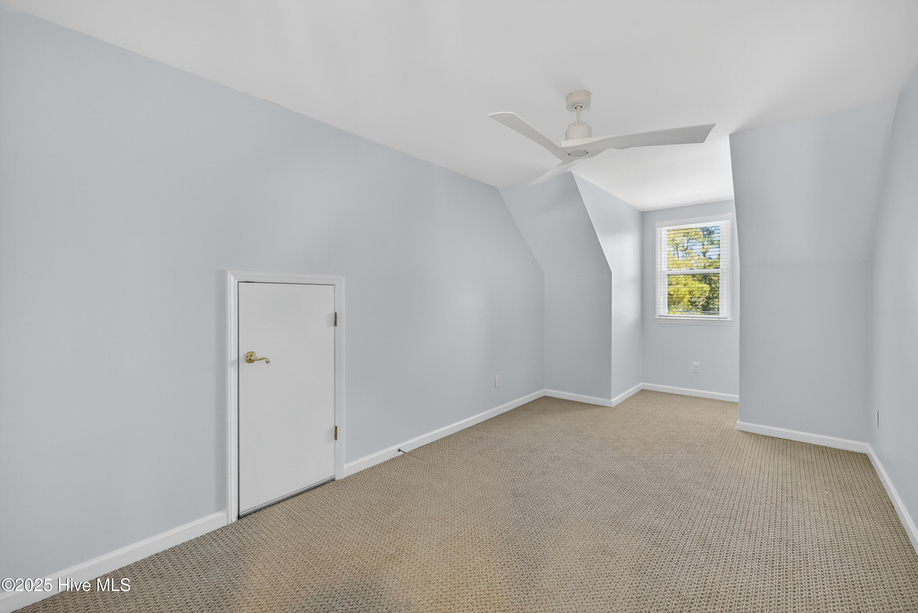 100539038 | Photo 55