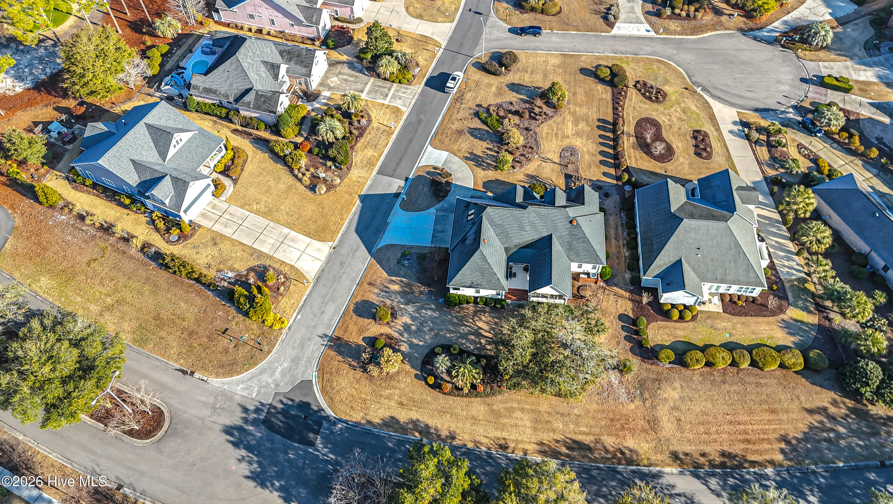 100553536 | Photo 66