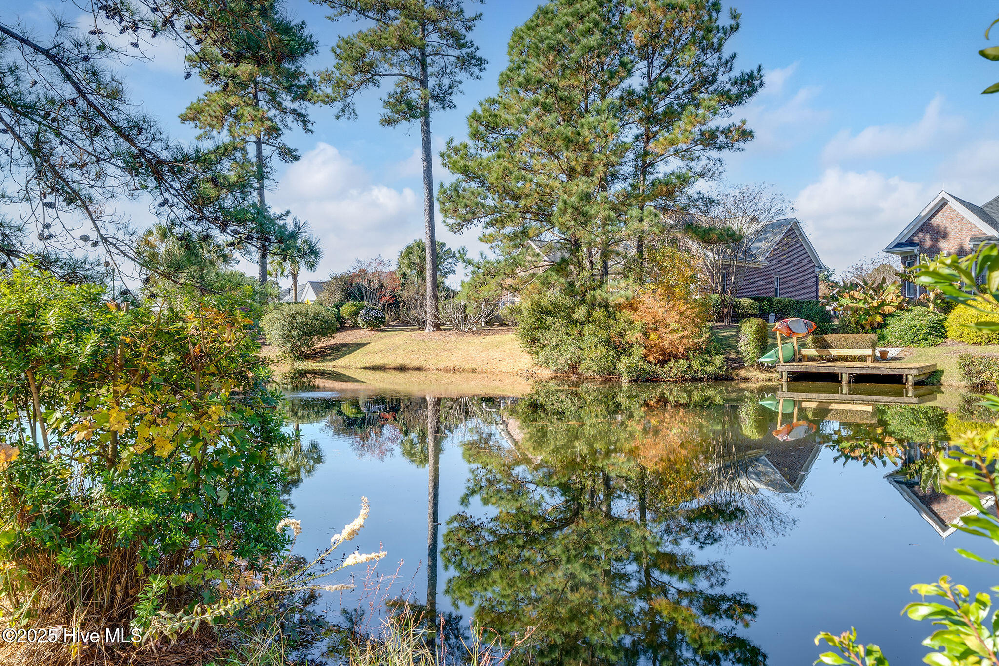 100542453 | Photo 30