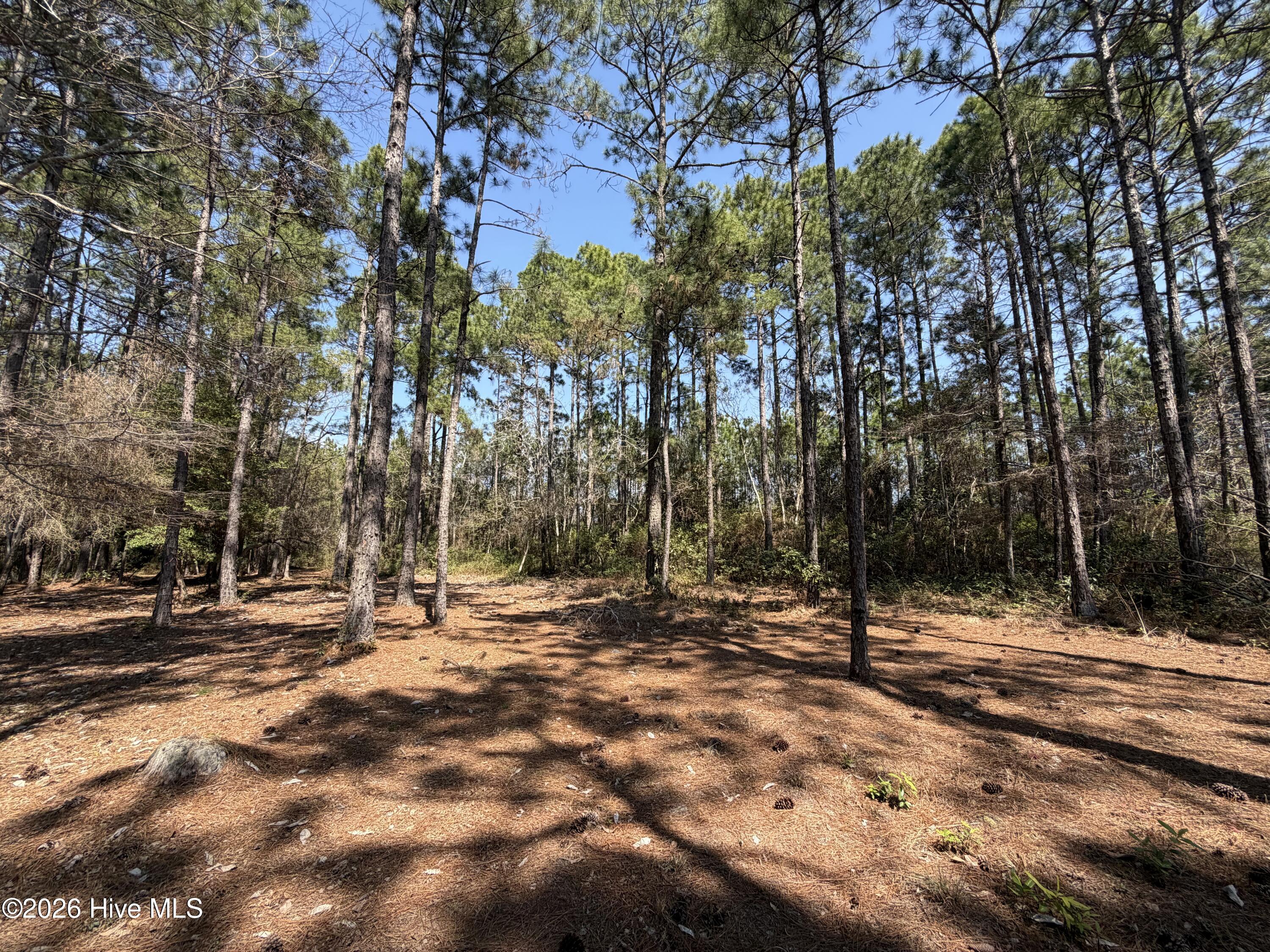 6786 Holton Place, Ocean Isle Beach, NC, 28469