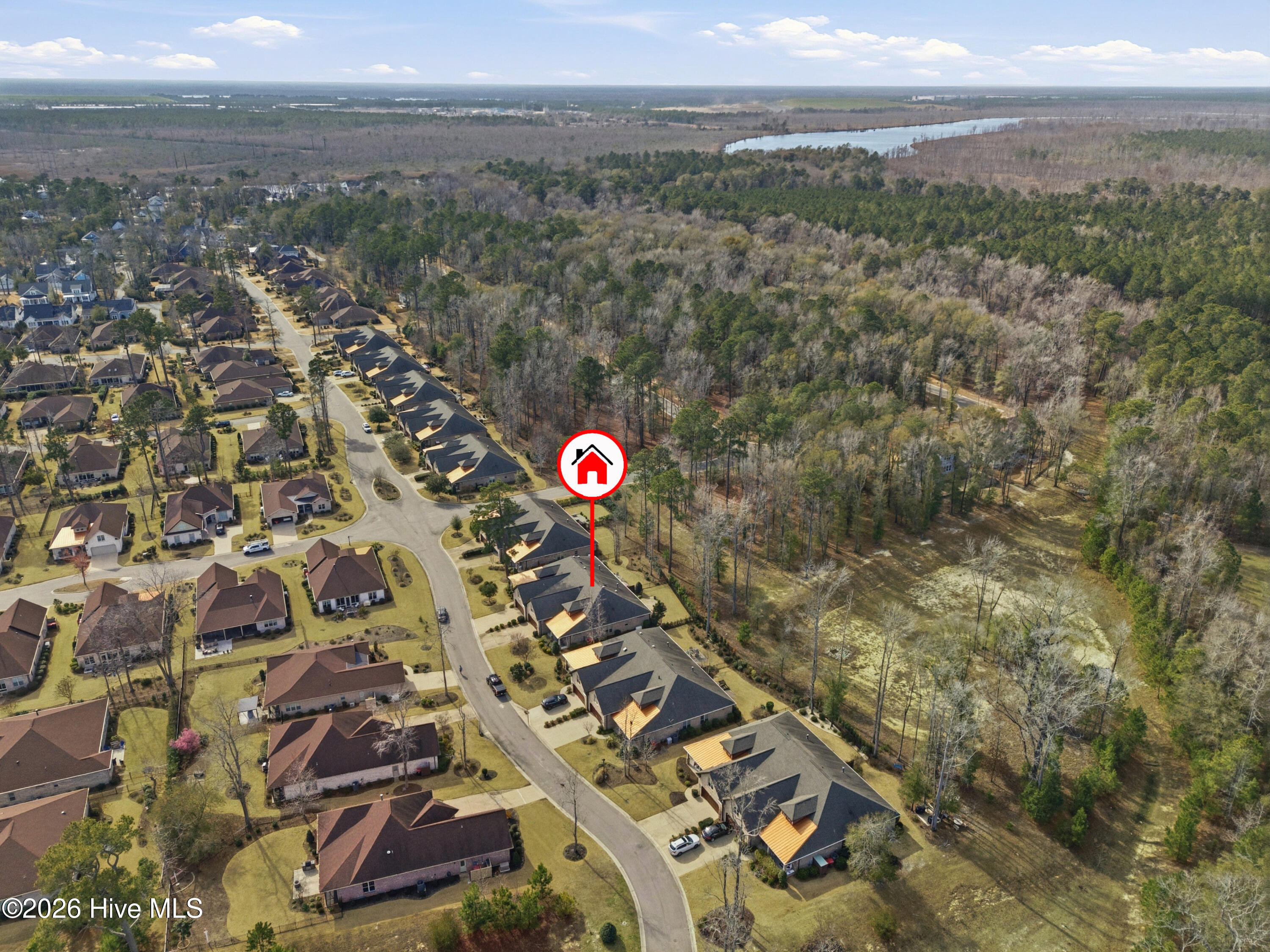 100558541 | Photo 66