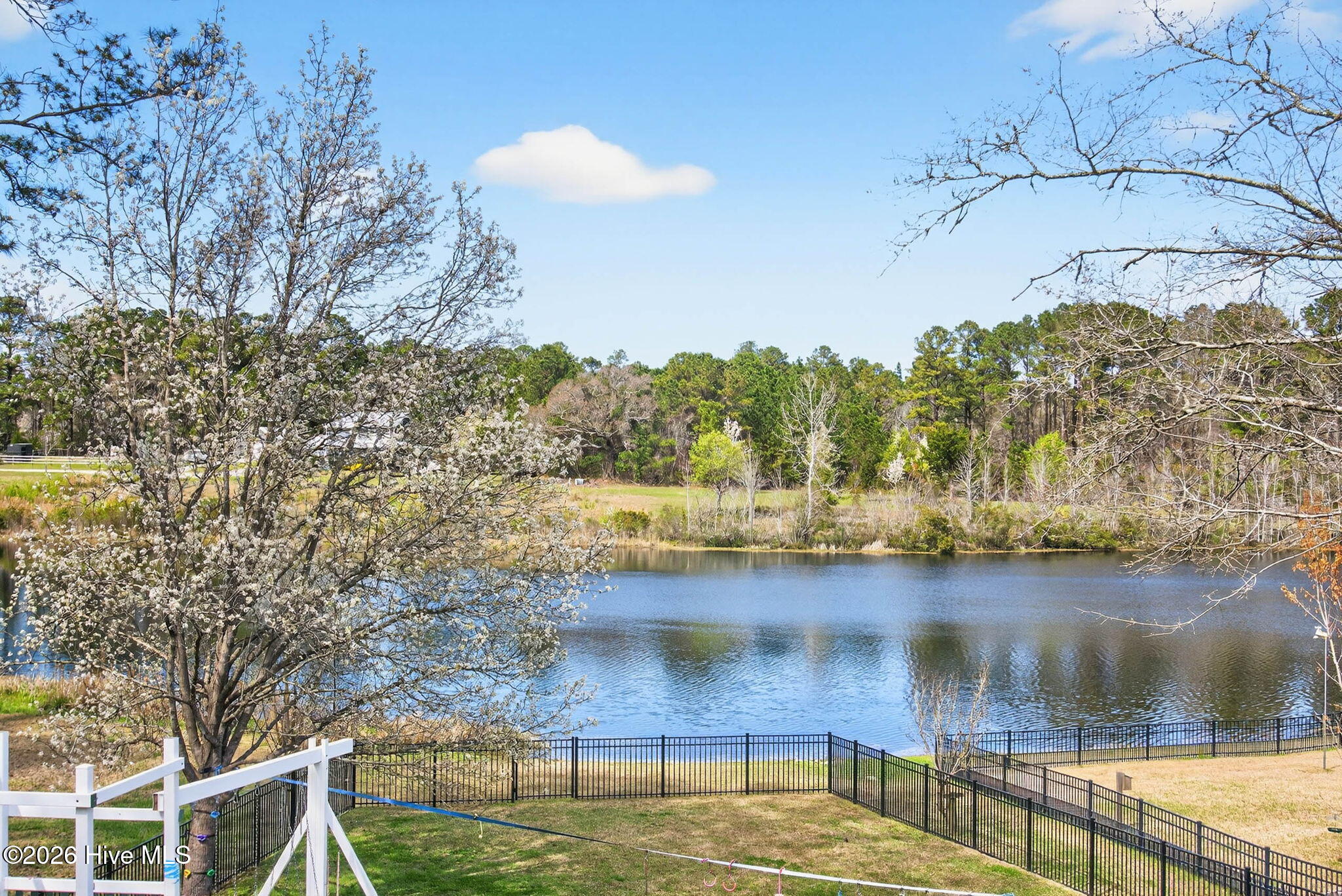 100561895 | Photo 40