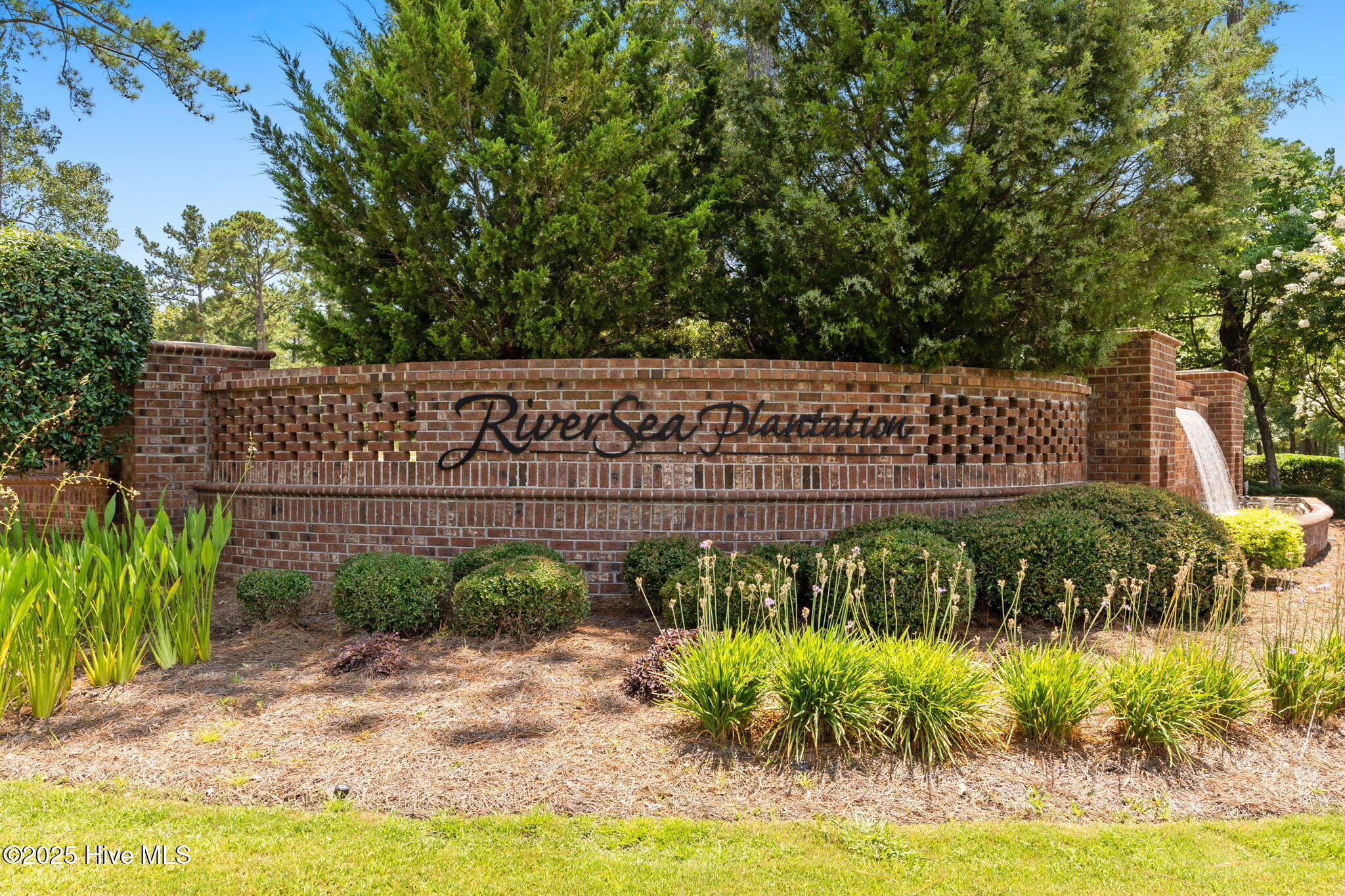 100516887 | Photo 82