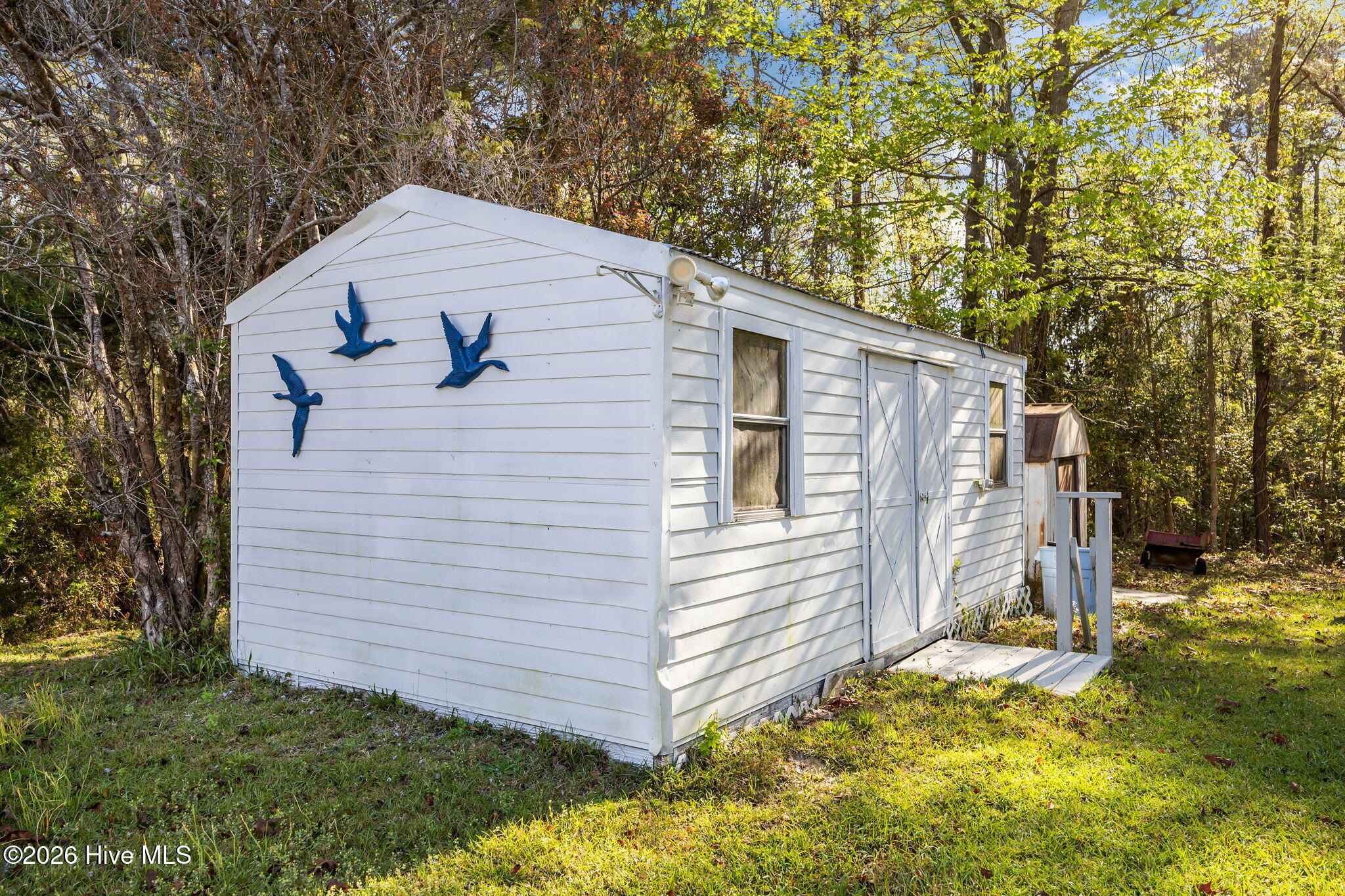 100565011 | Photo 36