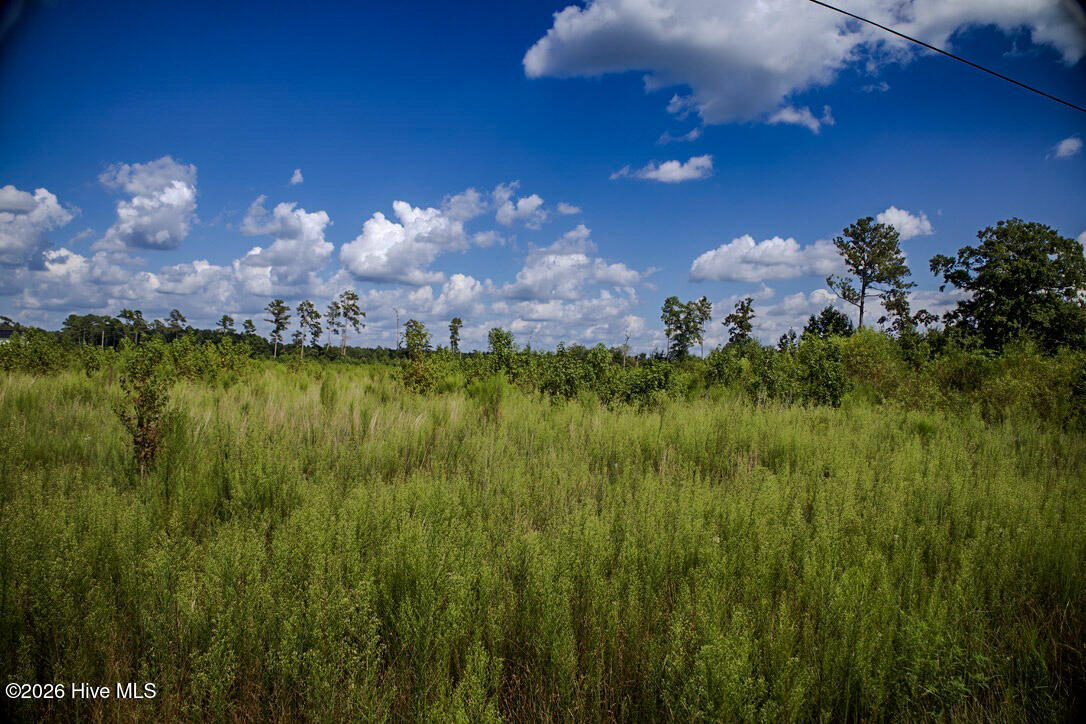 Photo 1 of Land for sale at 15 Mitchell Rd, Fairmont, NC 28340 | MLS# 100600464 | Listing updated on 2026-09-01
