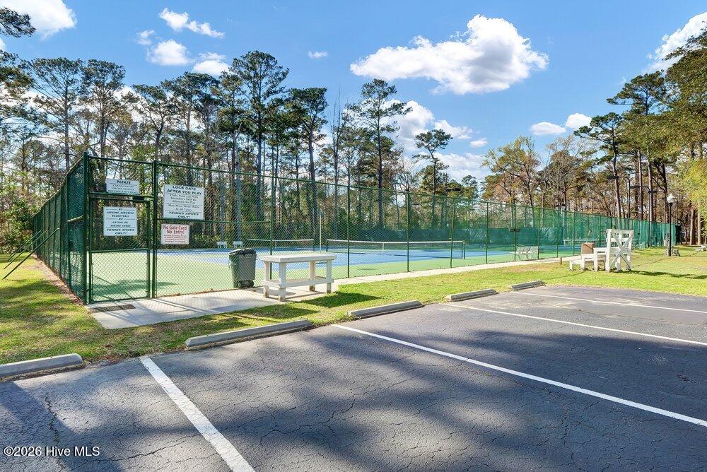 100559132 | Photo 32