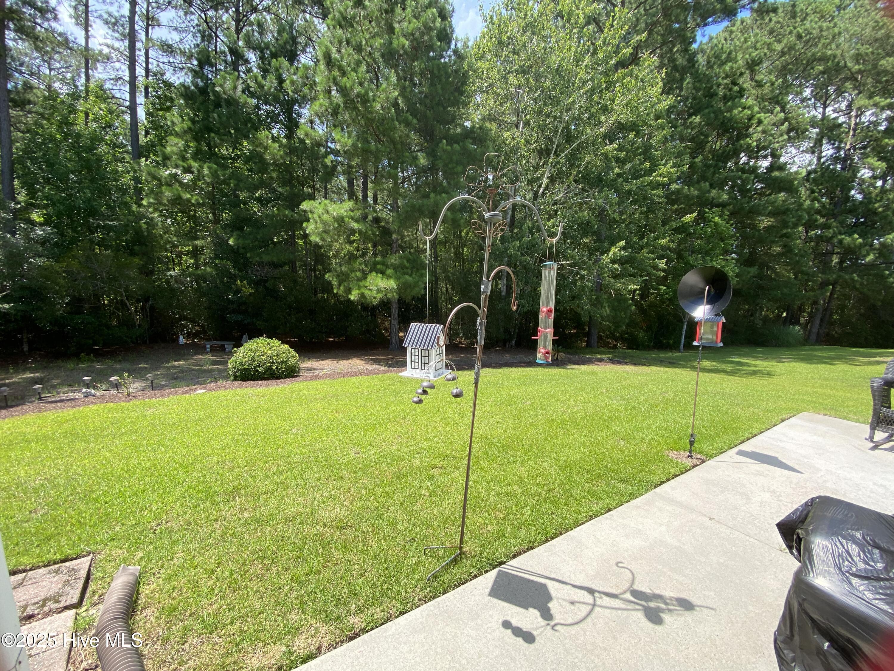 100539119 | Photo 41