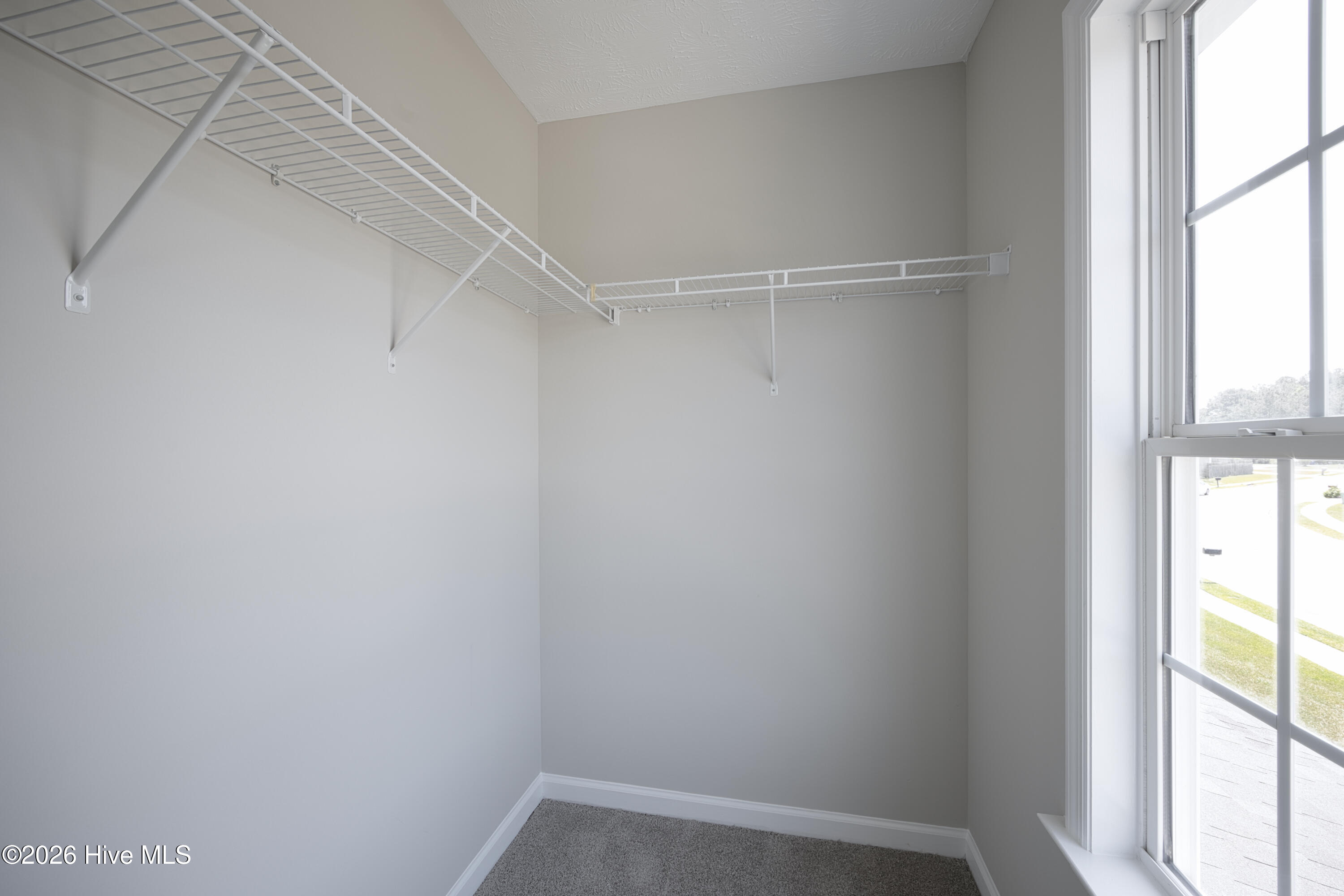 100570249 | Photo 33