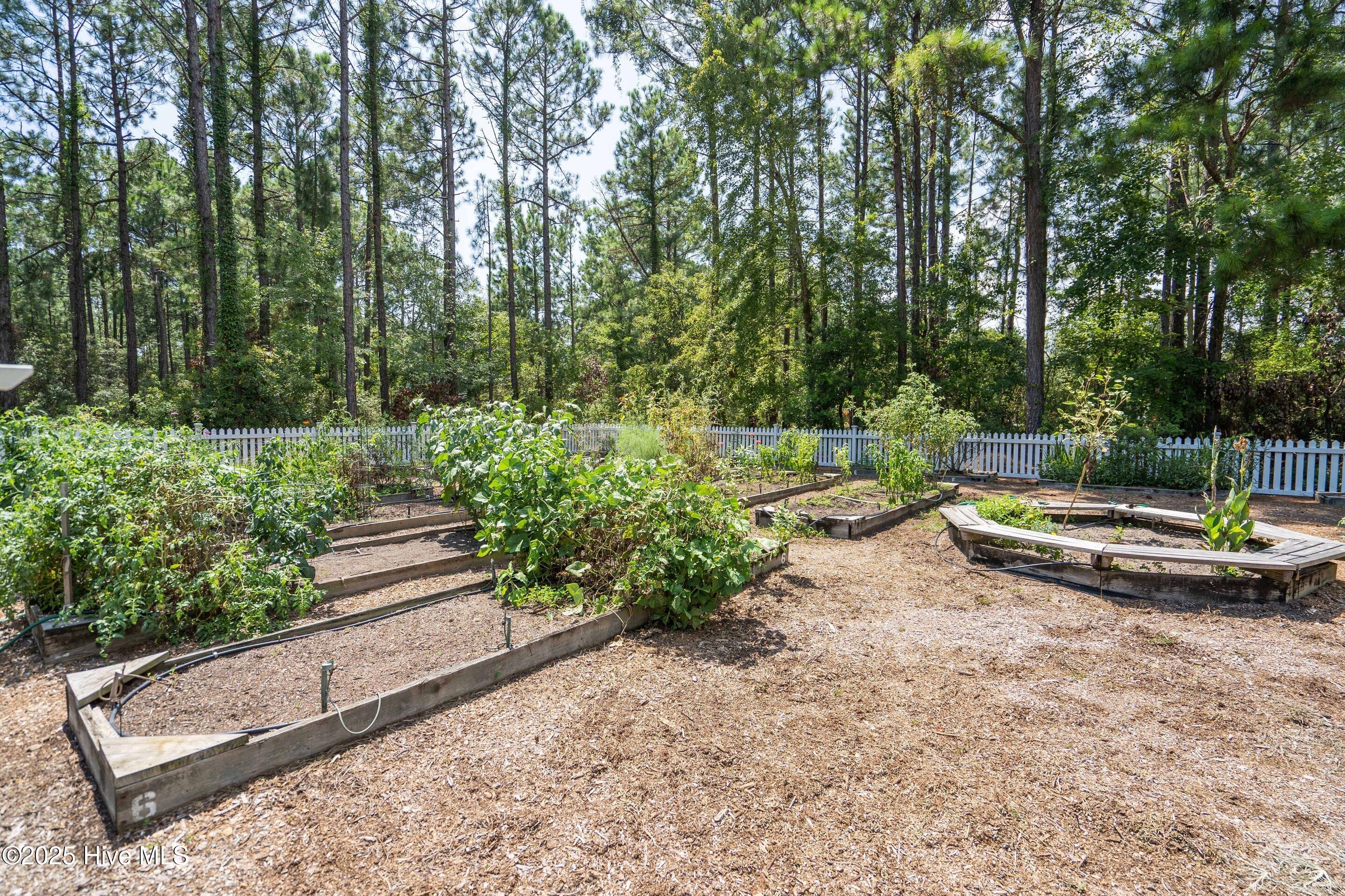 100525982 | Photo 76