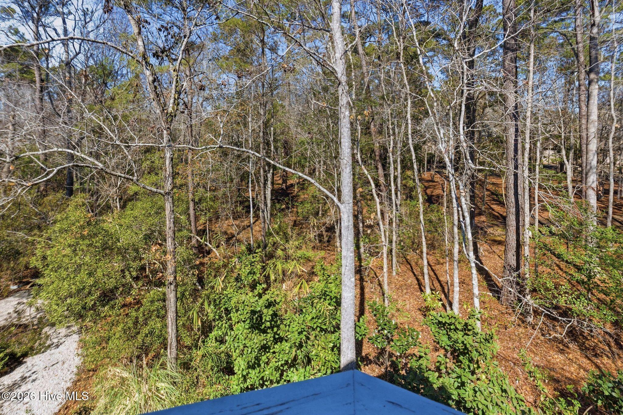 100555834 | Photo 102