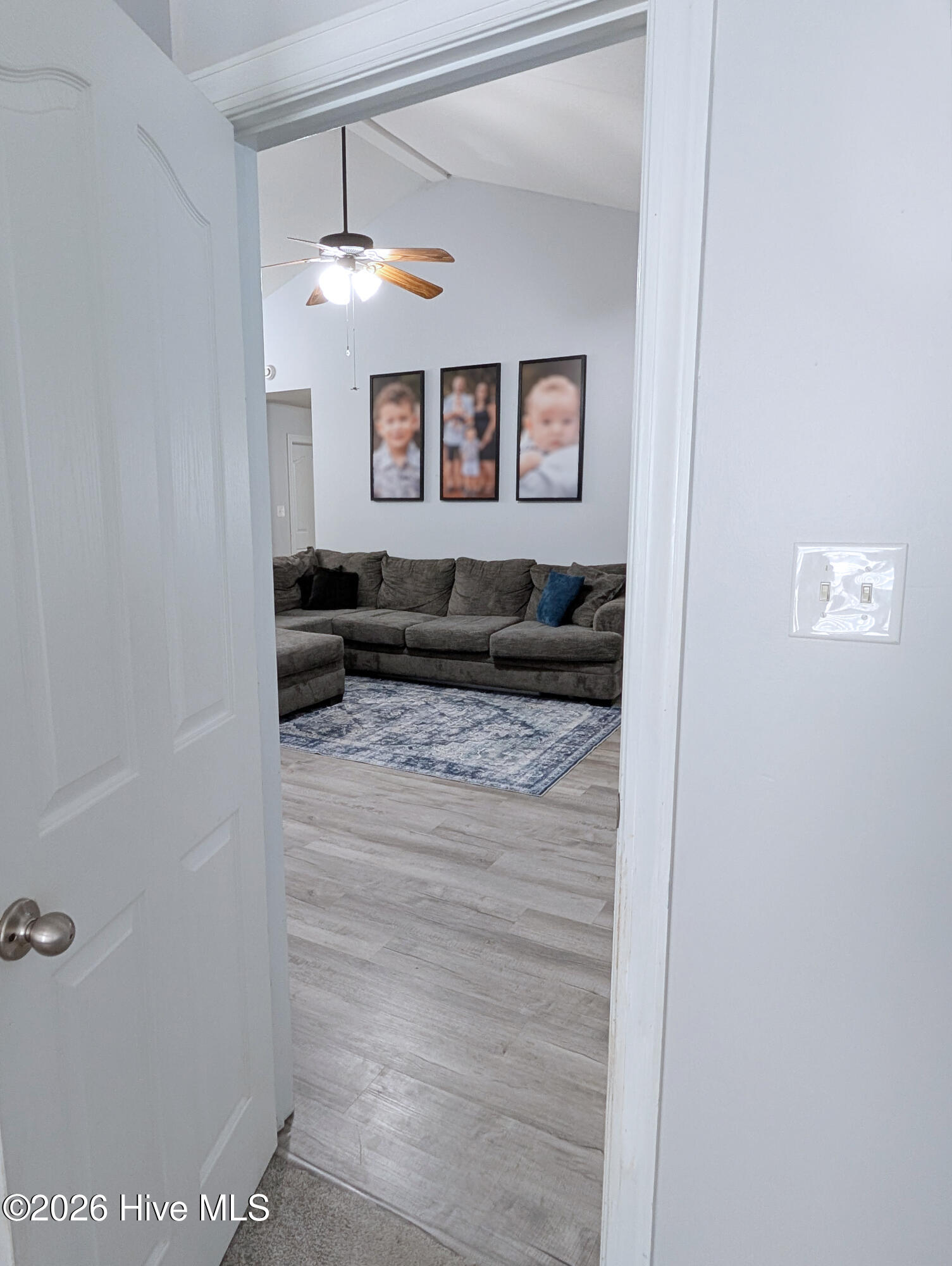 100564734 | Photo 64