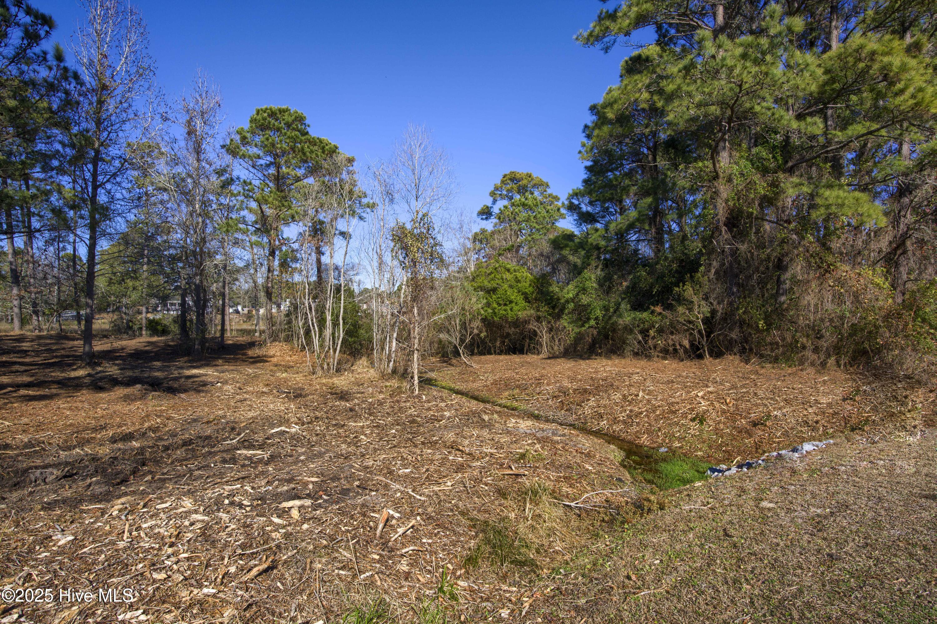 100559086 | Photo 42